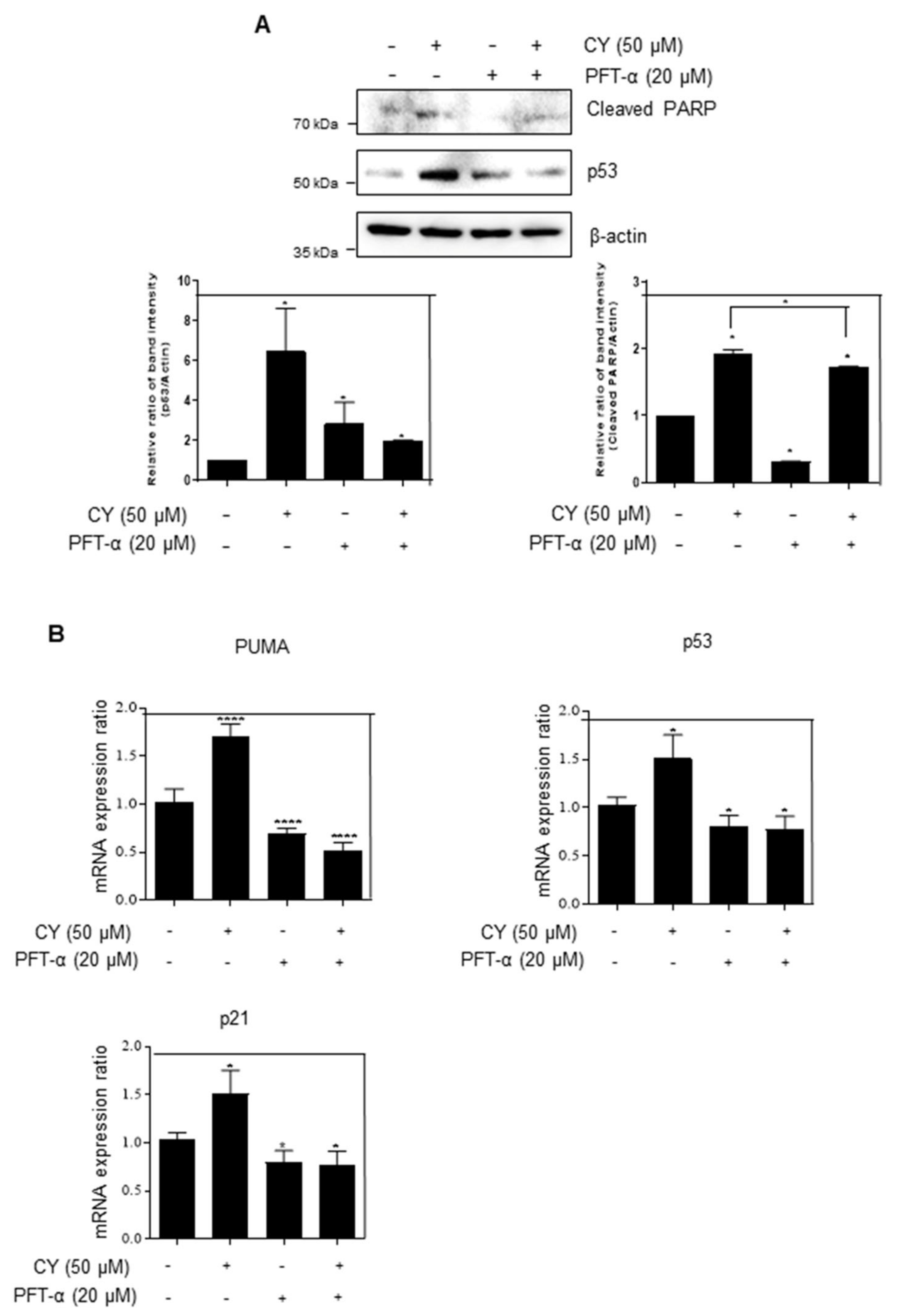 Ijms 23 15213 g005 Ijms 23 15213 g005