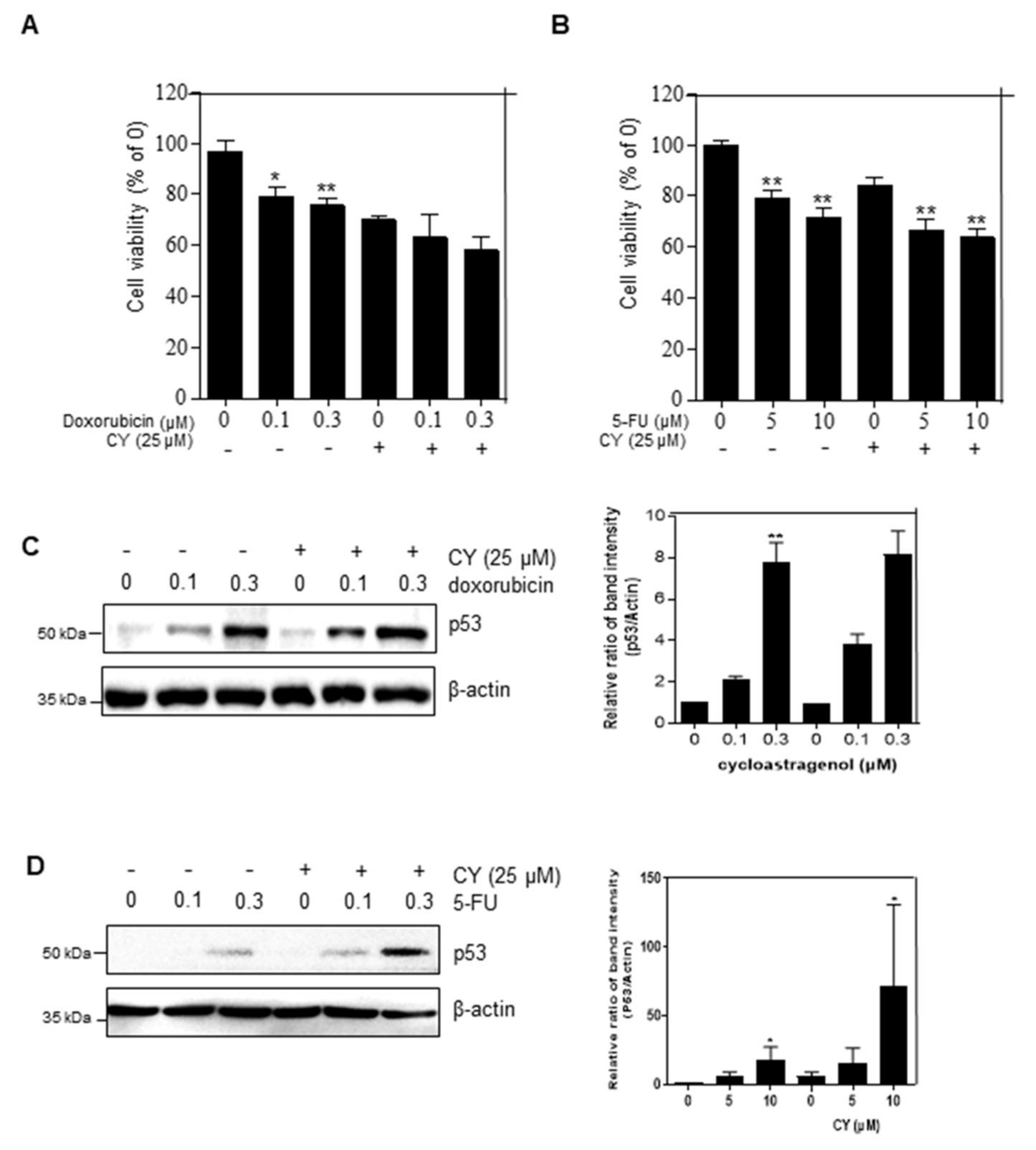 Ijms 23 15213 g006 Ijms 23 15213 g006