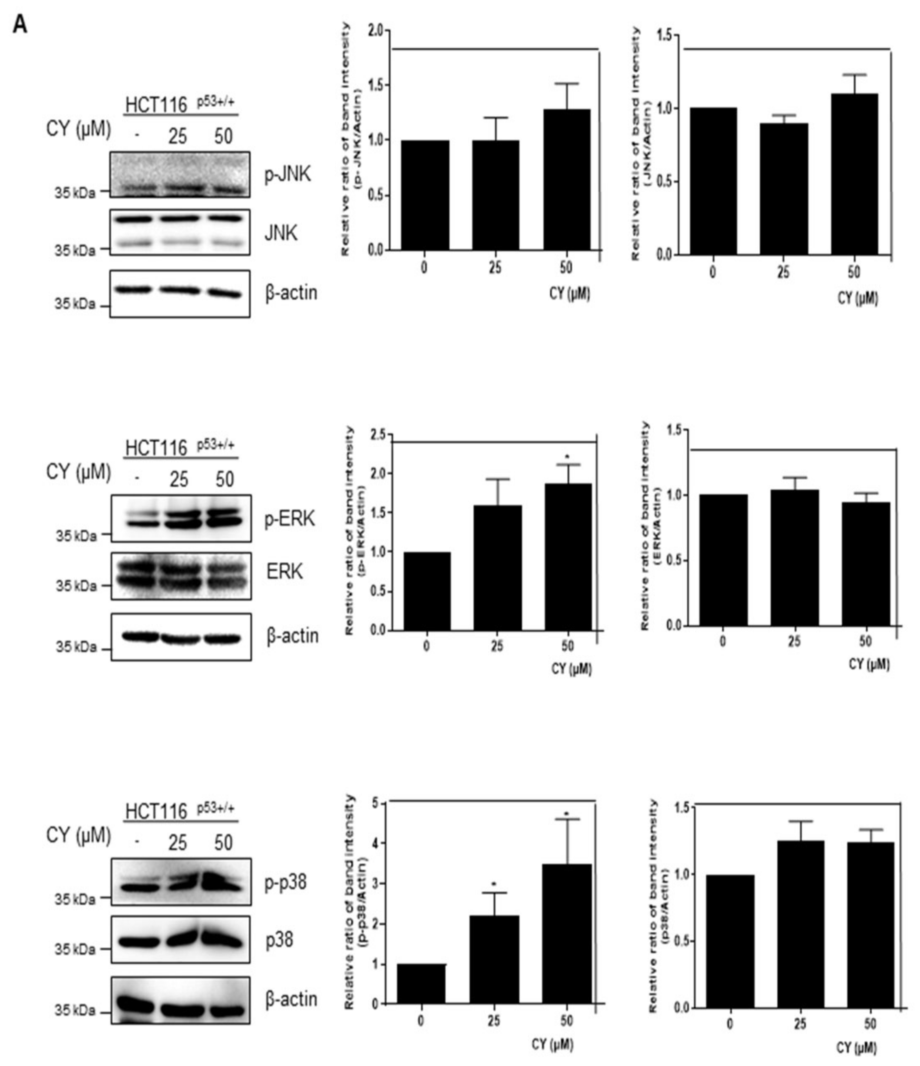 Ijms 23 15213 g009a Ijms 23 15213 g009a