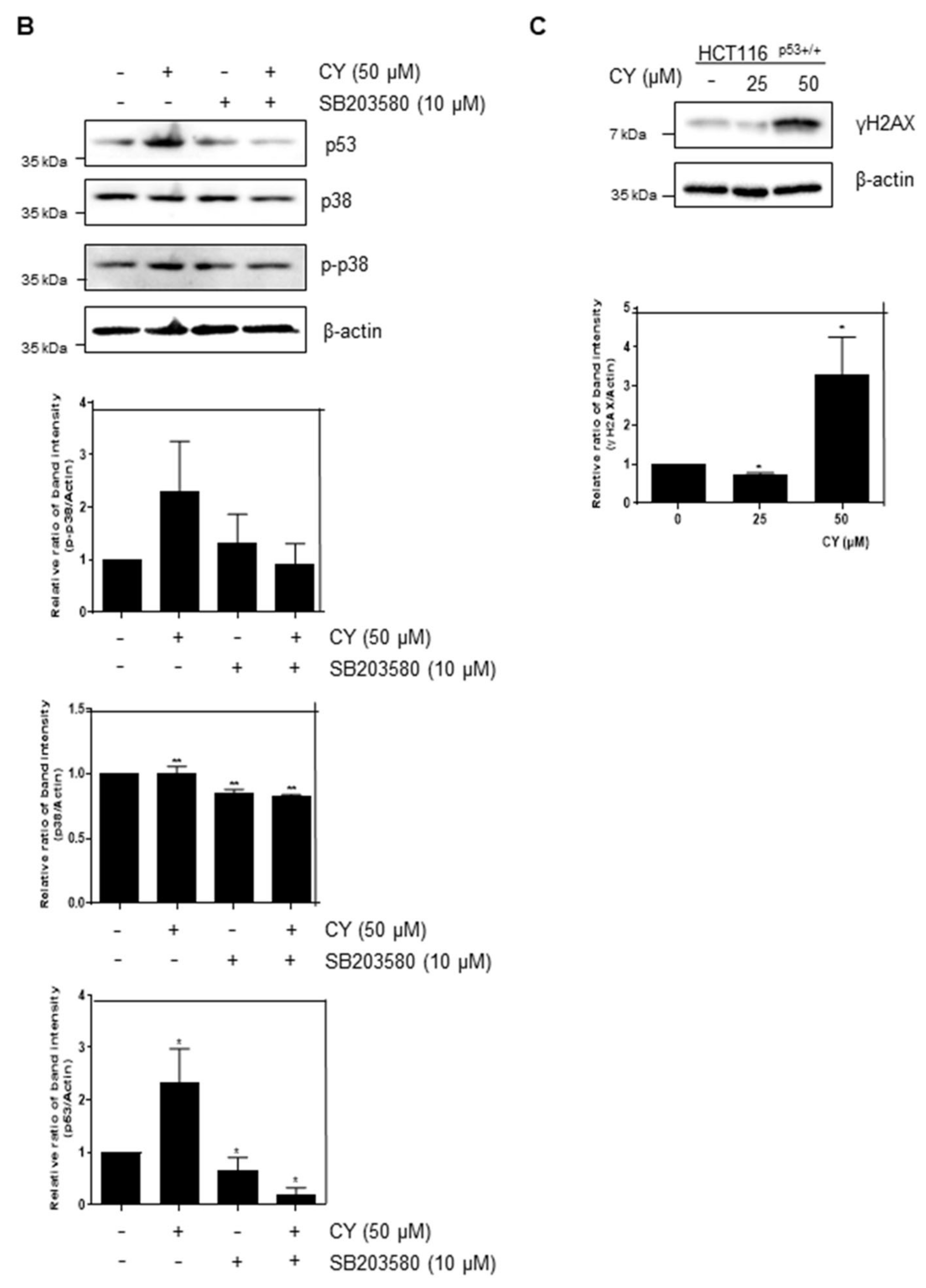 Ijms 23 15213 g009b Ijms 23 15213 g009b