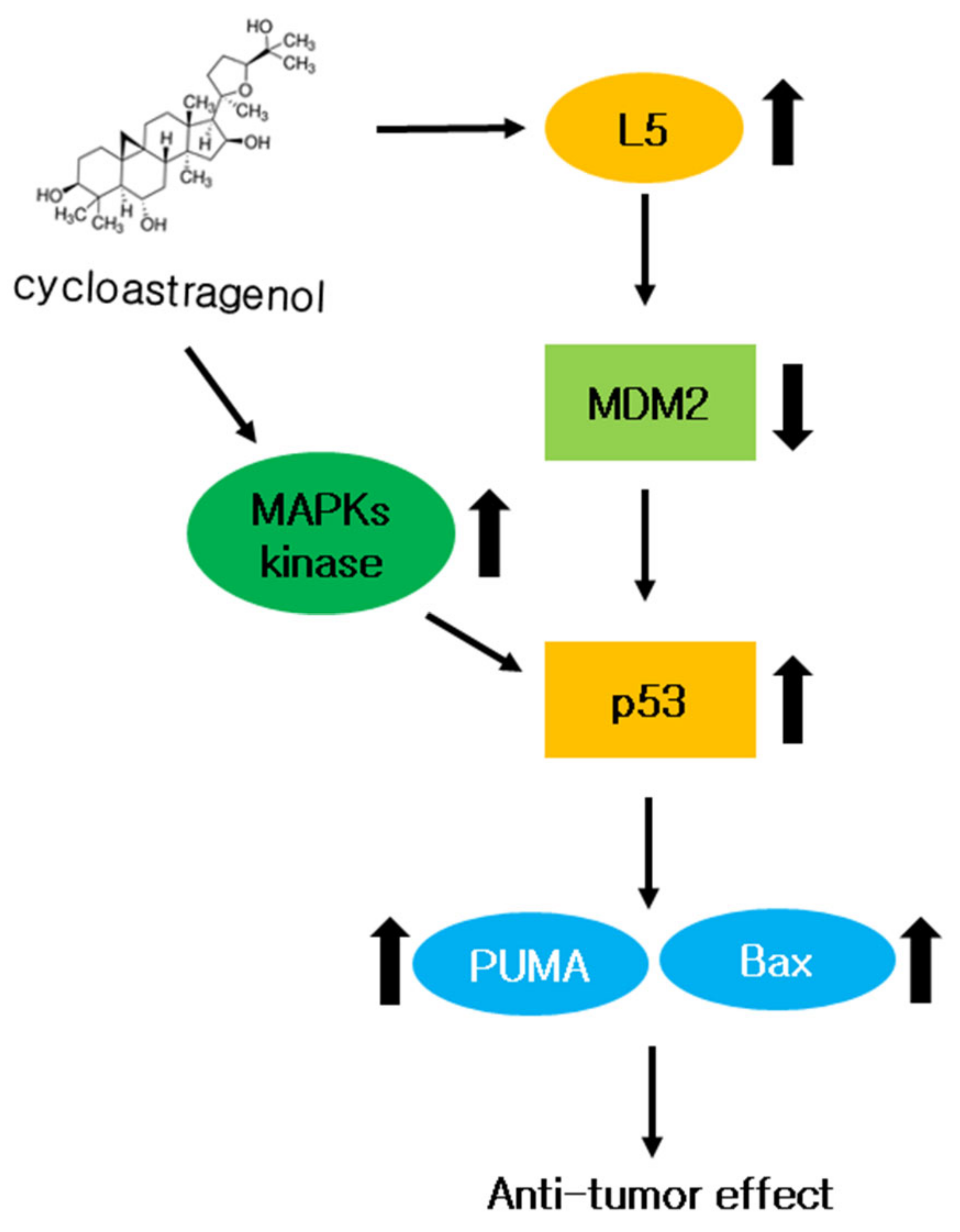 Ijms 23 15213 g010 Ijms 23 15213 g010