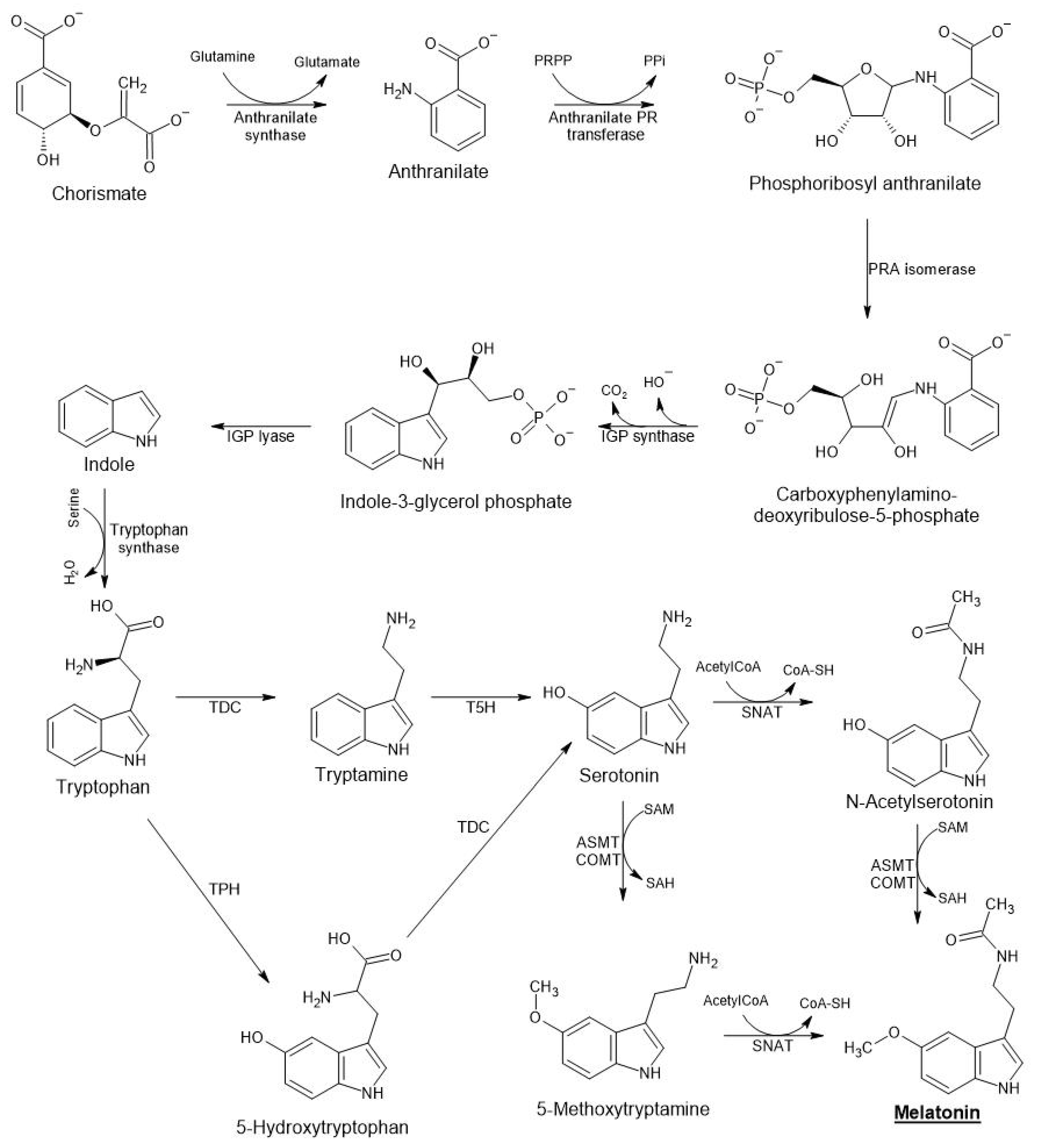 Ijms 23 15217 g001 Ijms 23 15217 g001