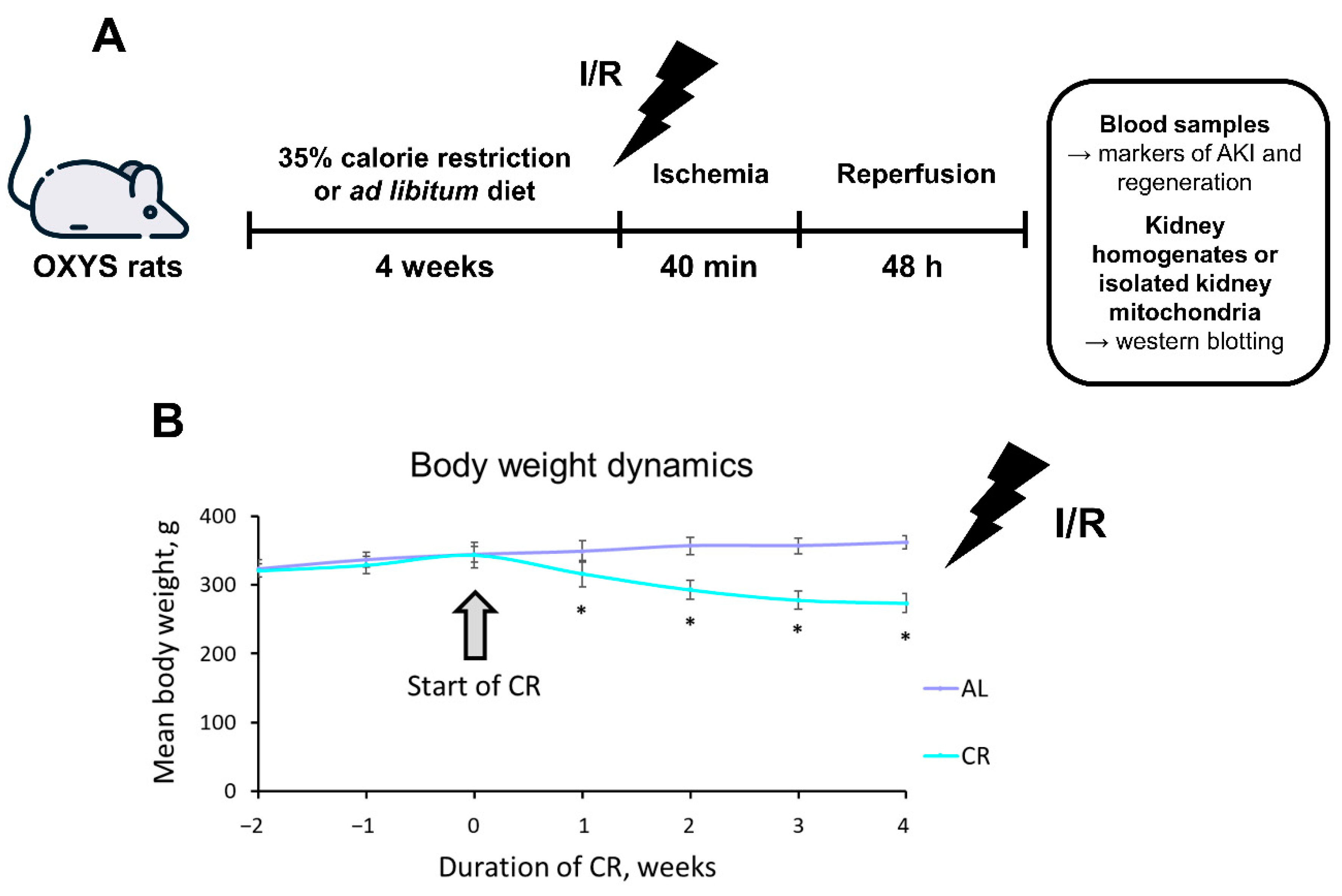 Ijms 23 15224 g001 Ijms 23 15224 g001