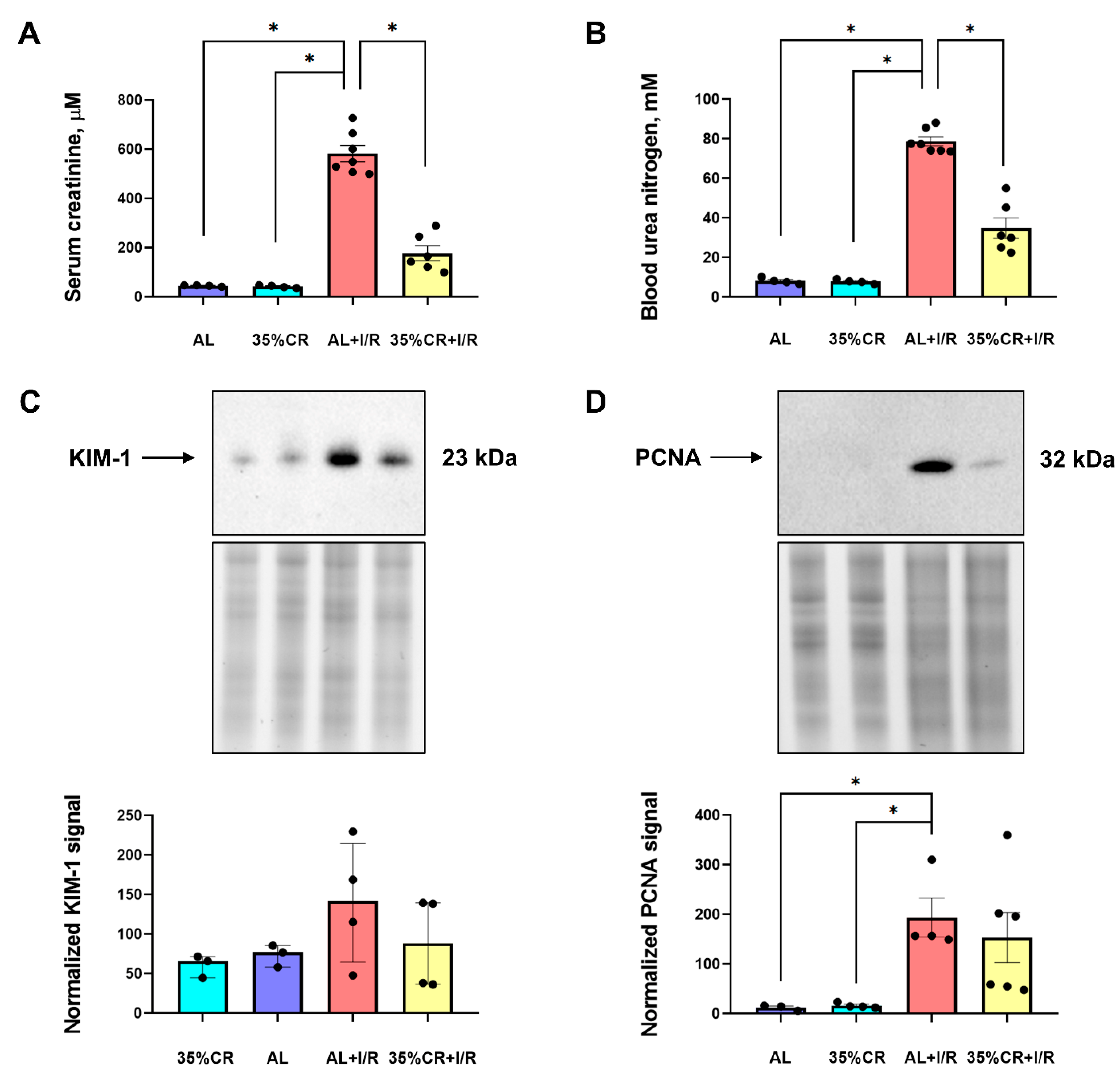 Ijms 23 15224 g002 Ijms 23 15224 g002
