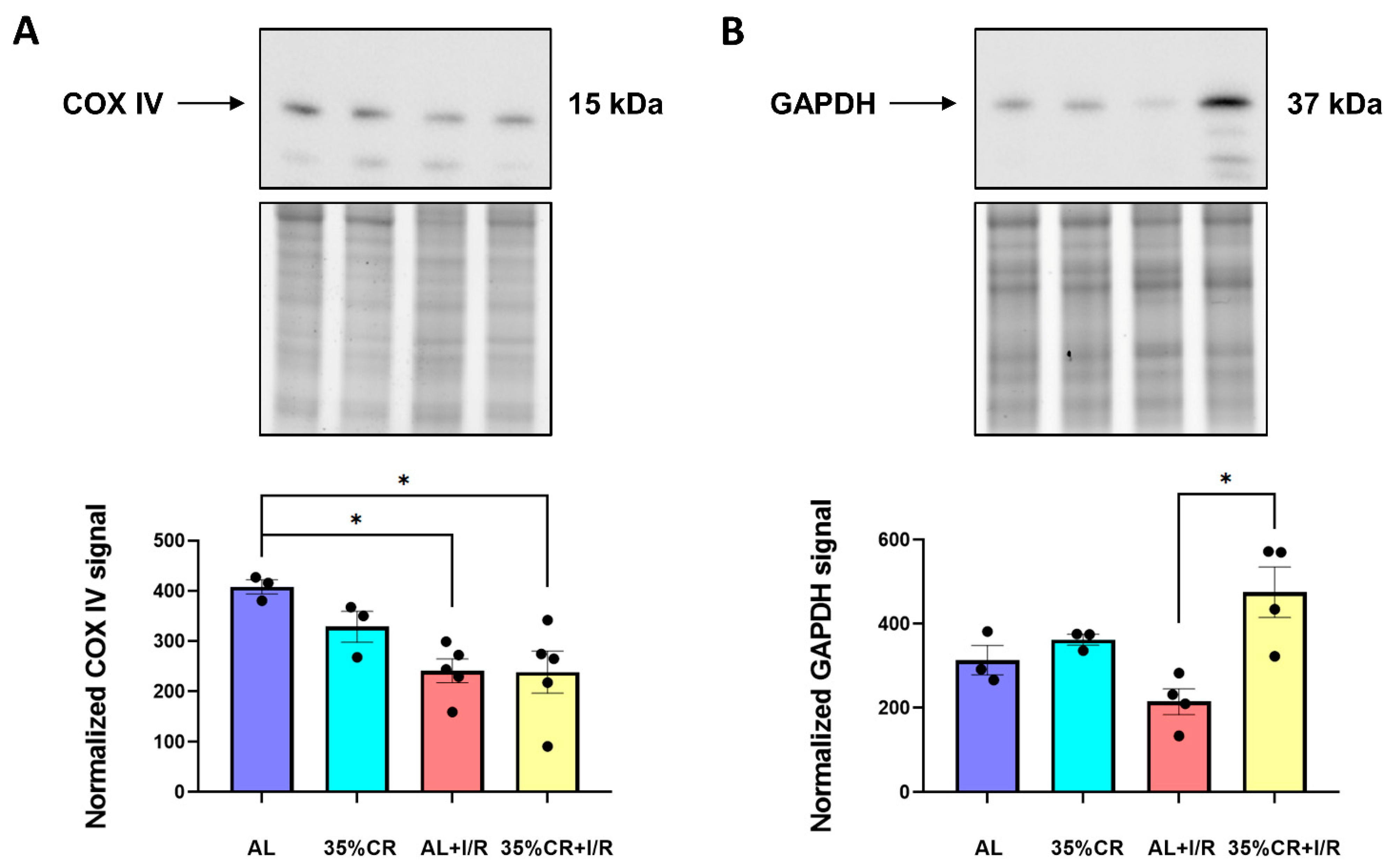 Ijms 23 15224 g004 Ijms 23 15224 g004