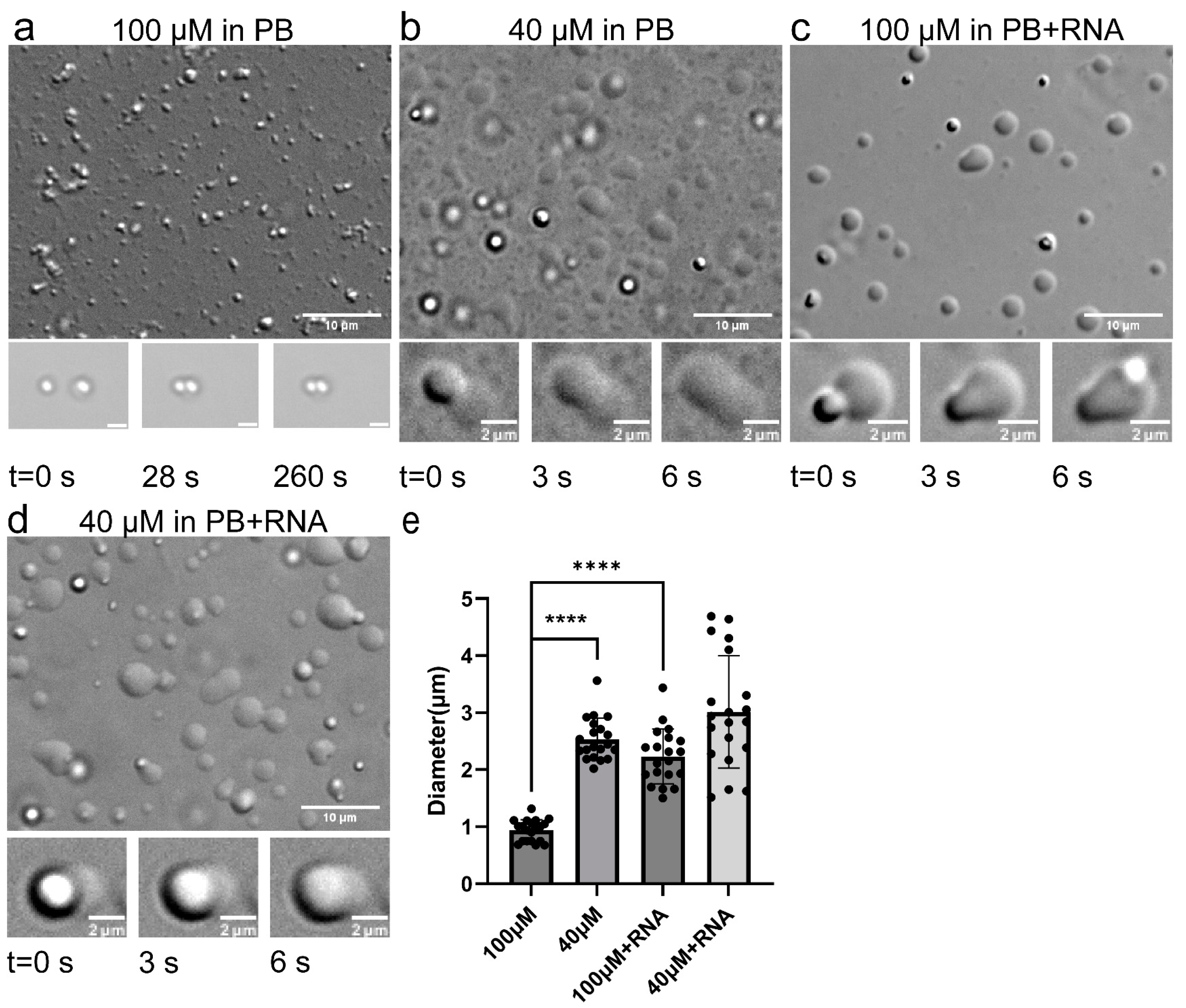 Ijms 23 15227 g001 Ijms 23 15227 g001