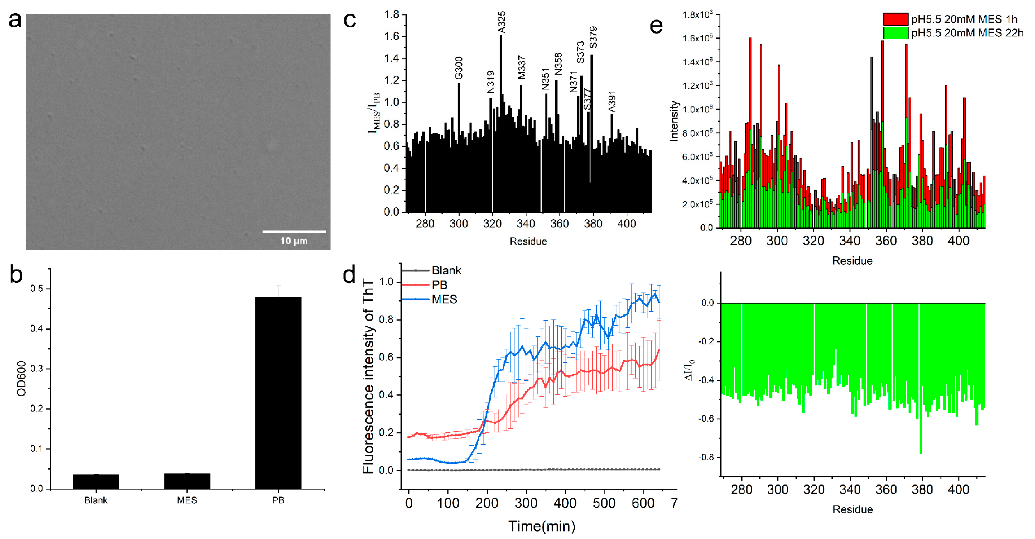 Ijms 23 15227 g003 Ijms 23 15227 g003