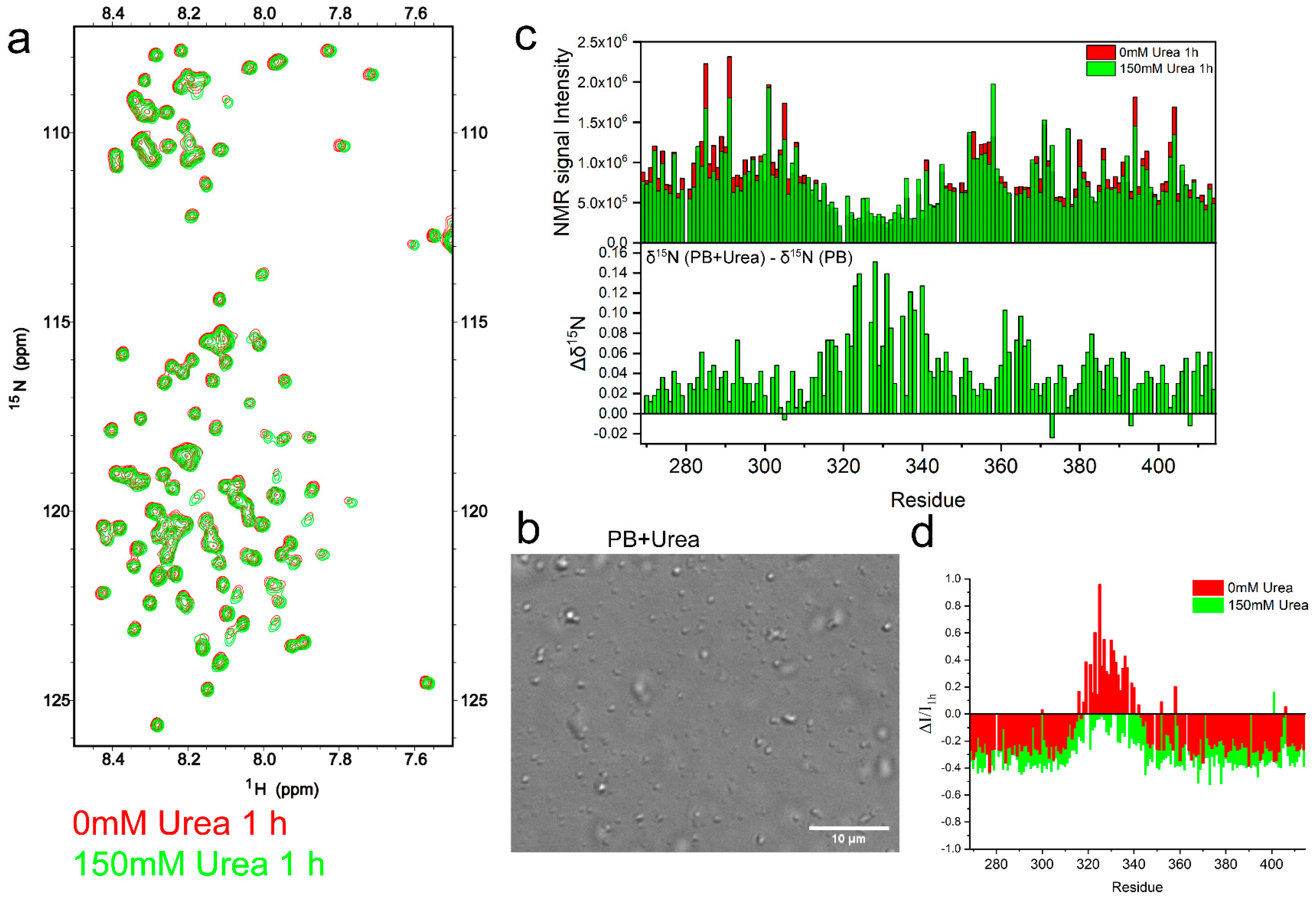 Ijms 23 15227 g004 Ijms 23 15227 g004