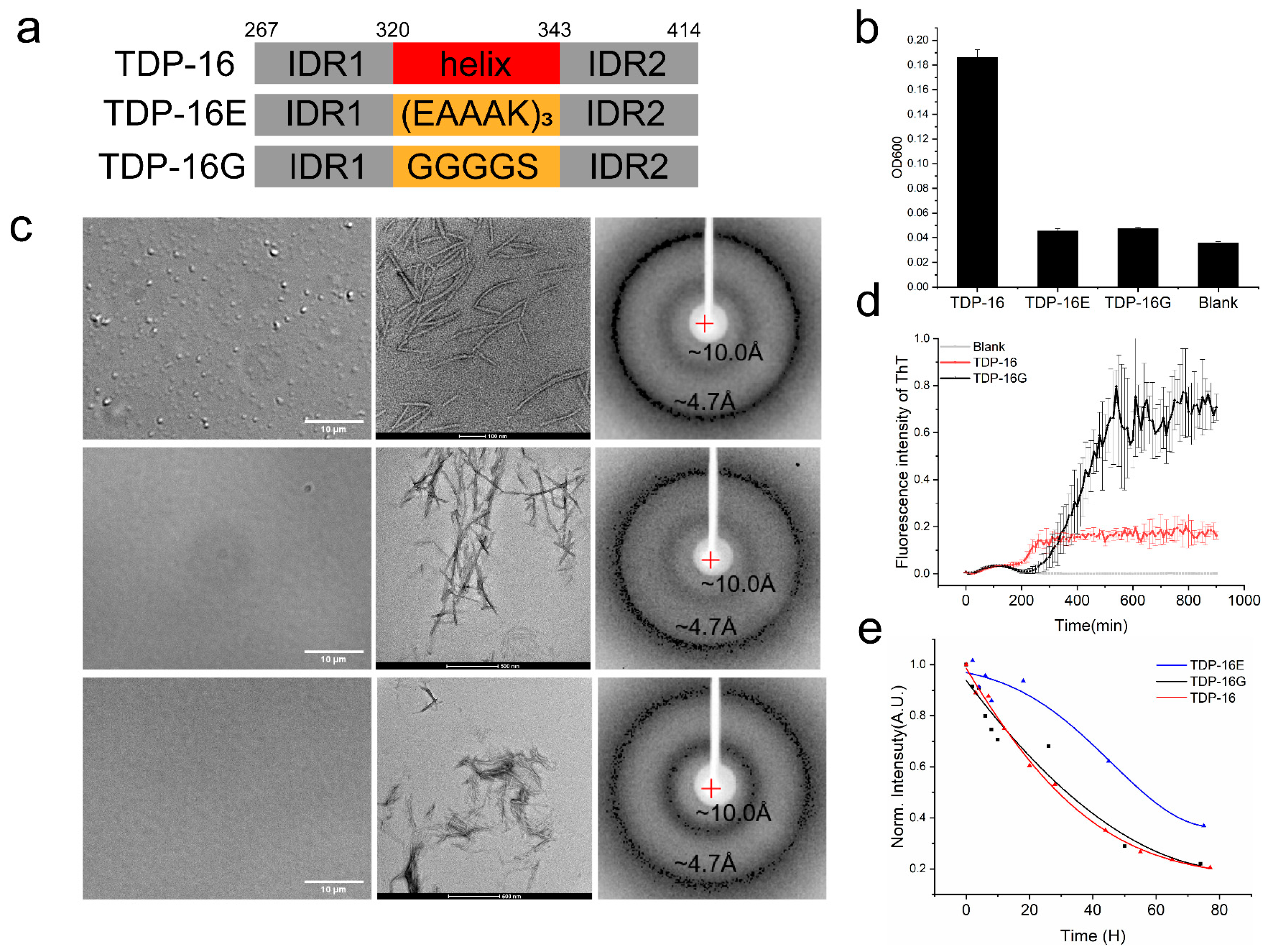Ijms 23 15227 g005 Ijms 23 15227 g005
