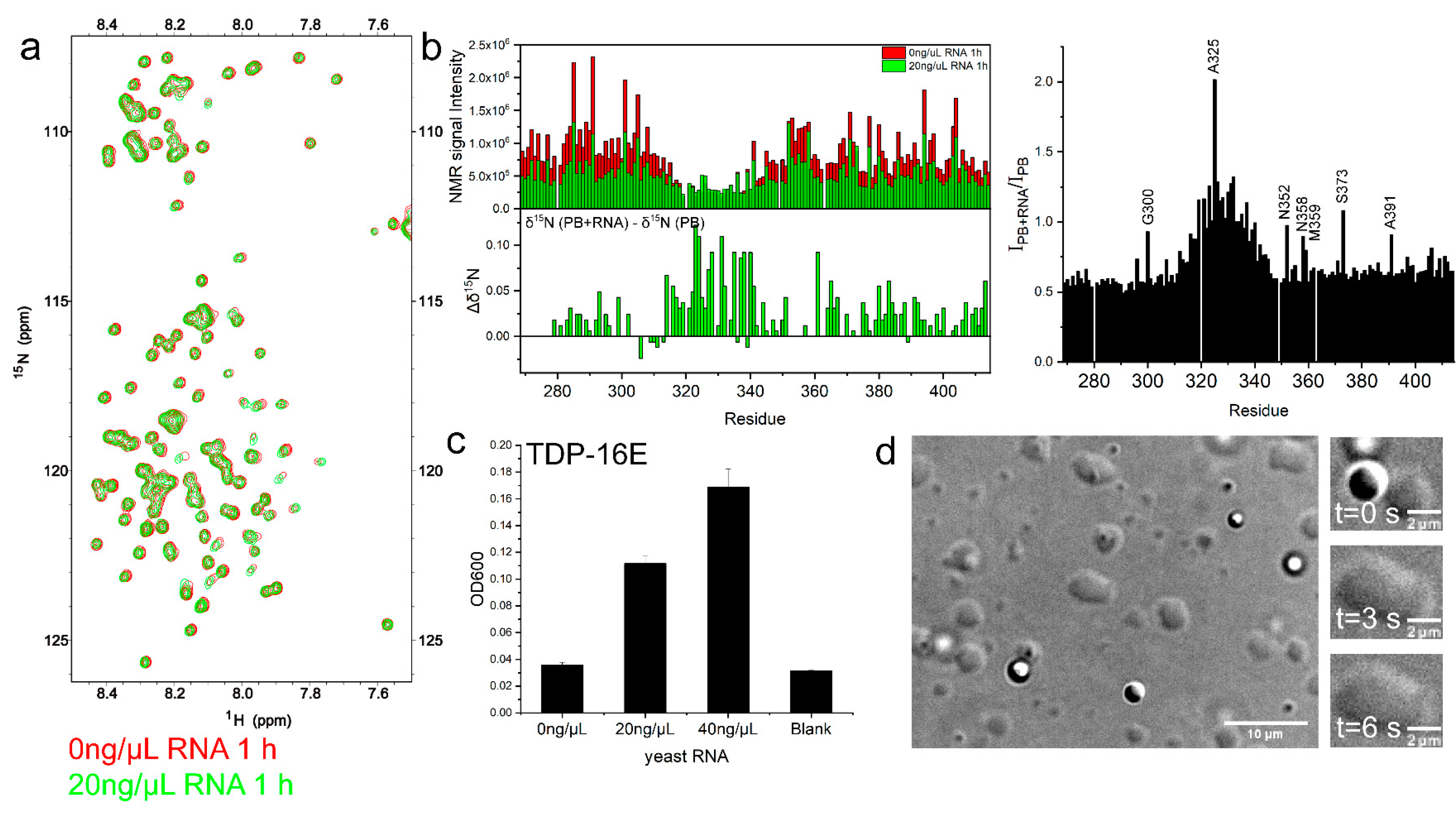 Ijms 23 15227 g006 Ijms 23 15227 g006