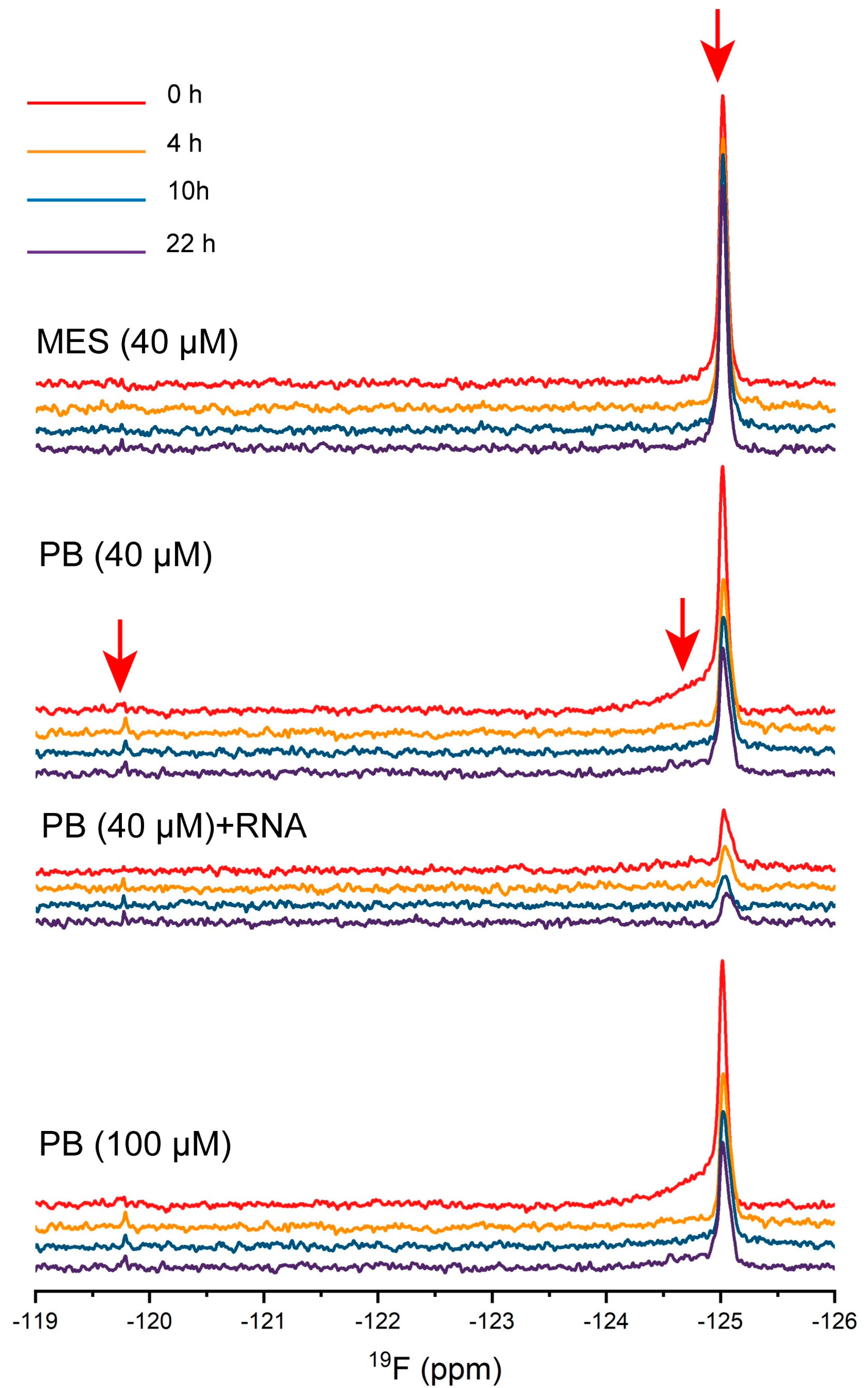 Ijms 23 15227 g007 Ijms 23 15227 g007