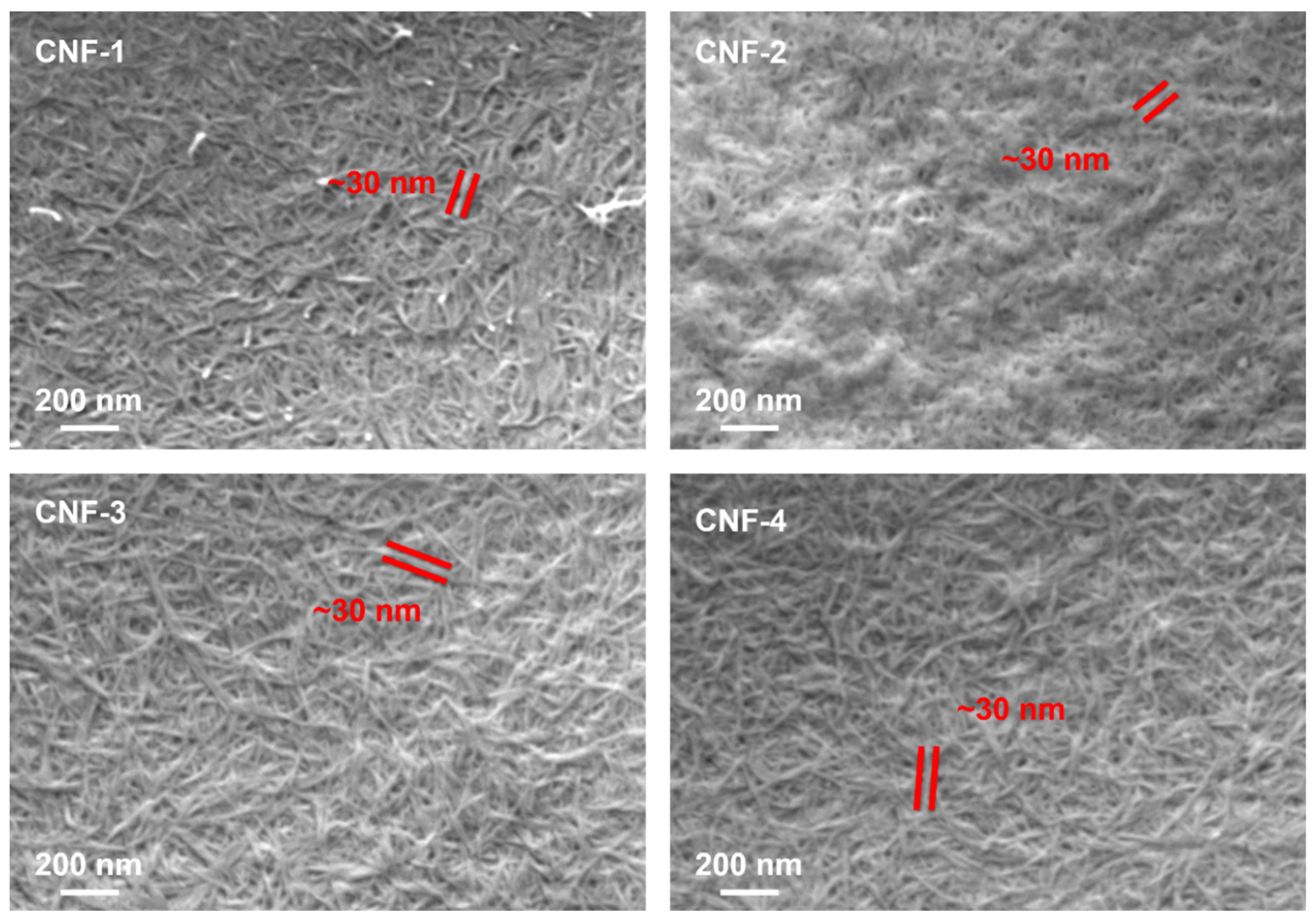 Ijms 23 15245 g005 Ijms 23 15245 g005