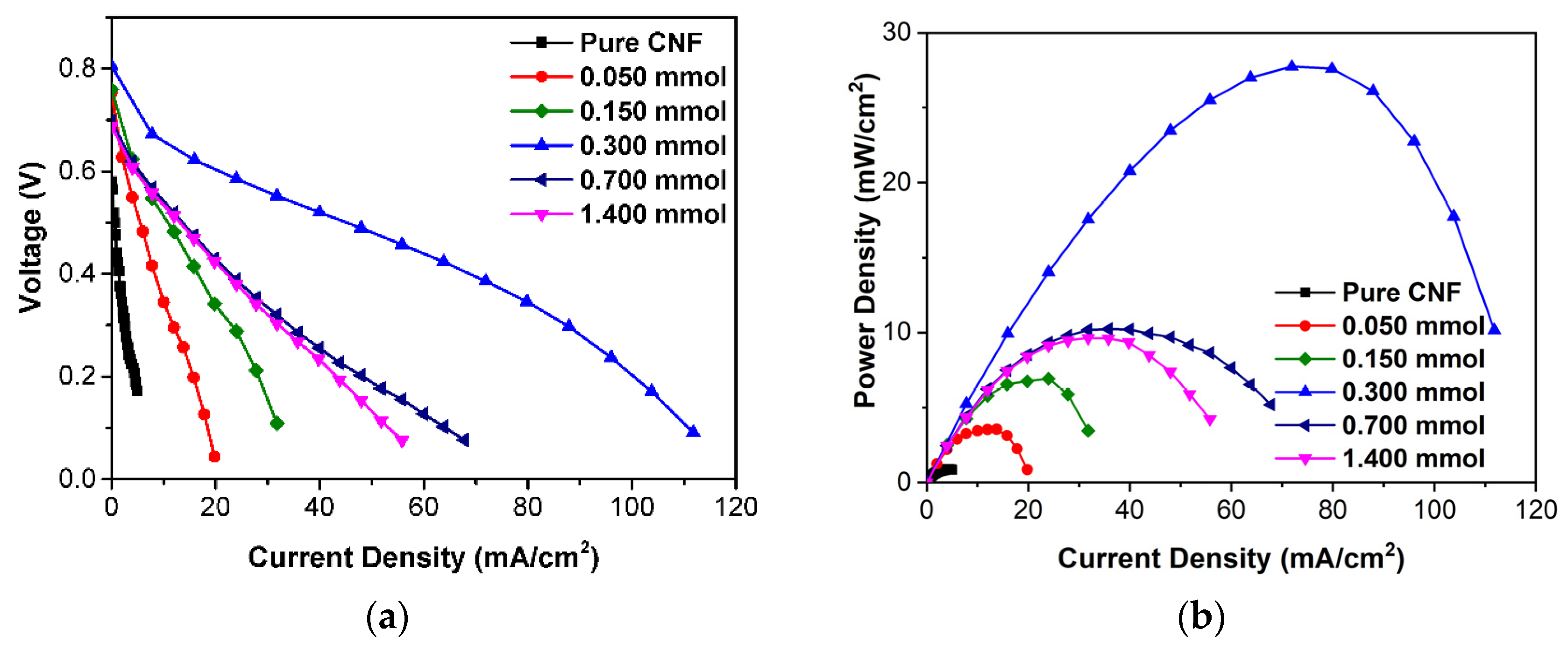Ijms 23 15245 g010 Ijms 23 15245 g010