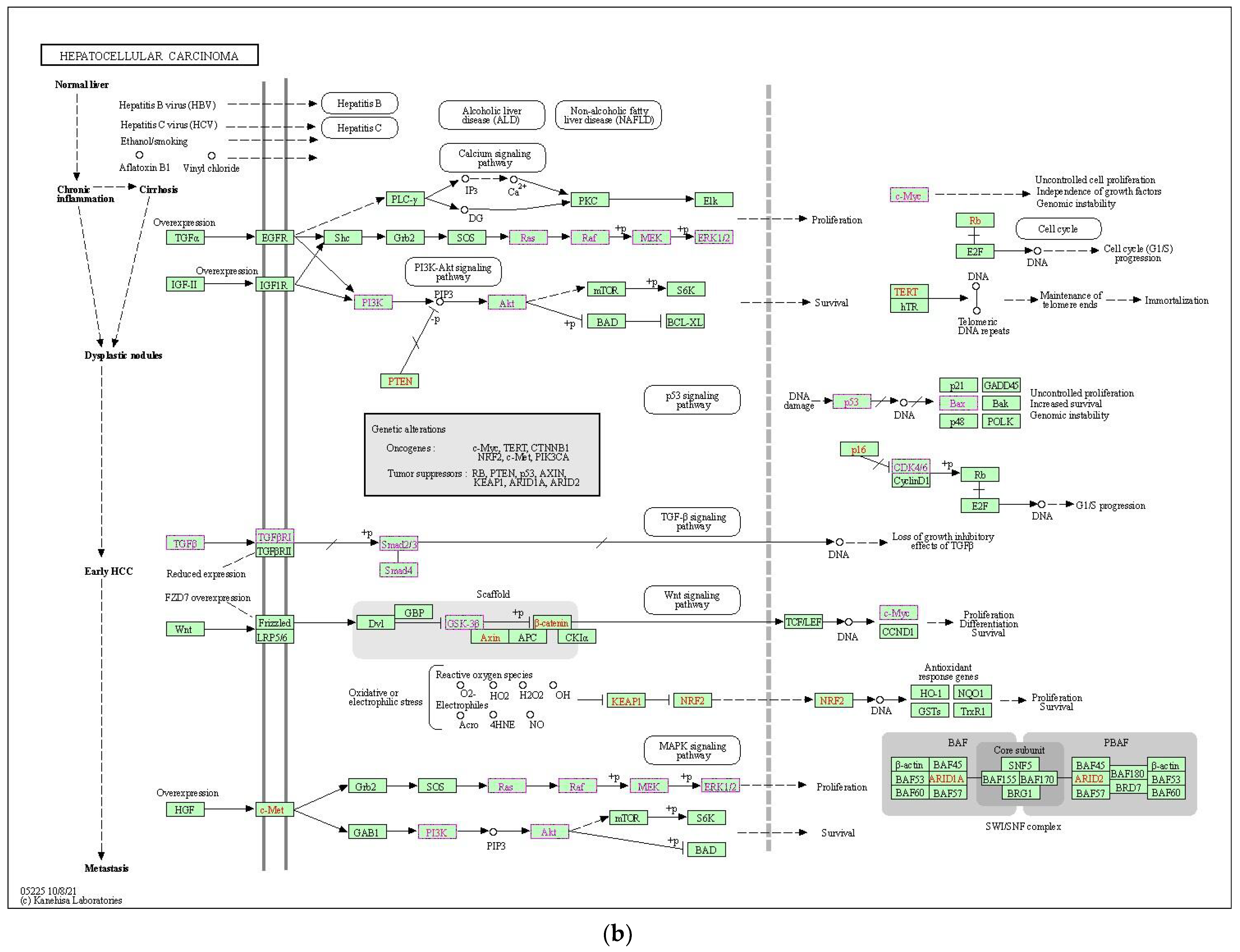 Ijms 23 15257 g004b Ijms 23 15257 g004b