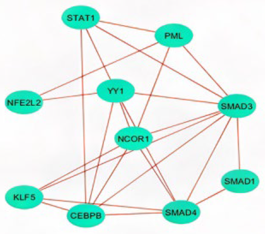 Ijms 23 15257 g005 Ijms 23 15257 g005