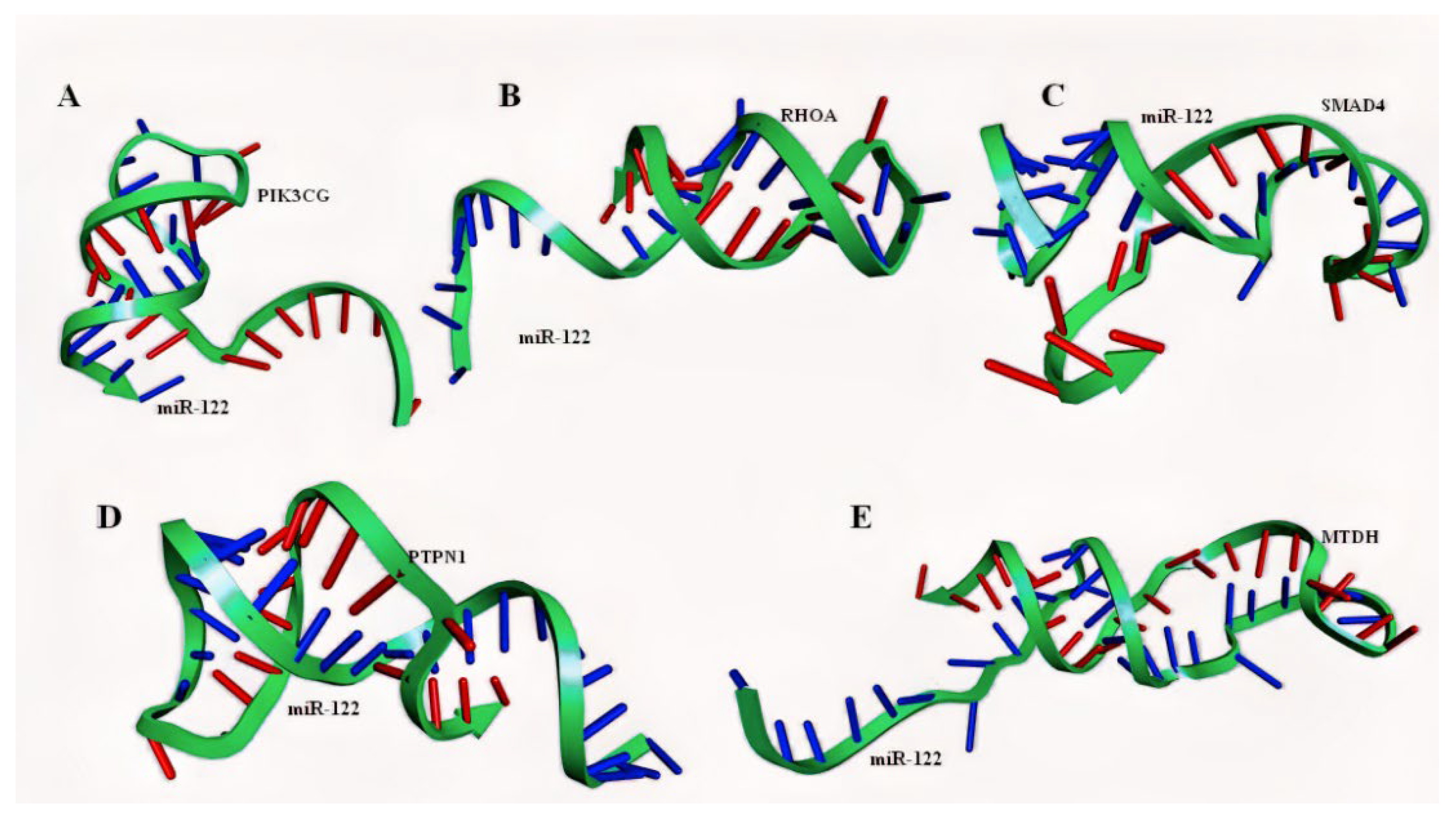 Ijms 23 15257 g008 Ijms 23 15257 g008