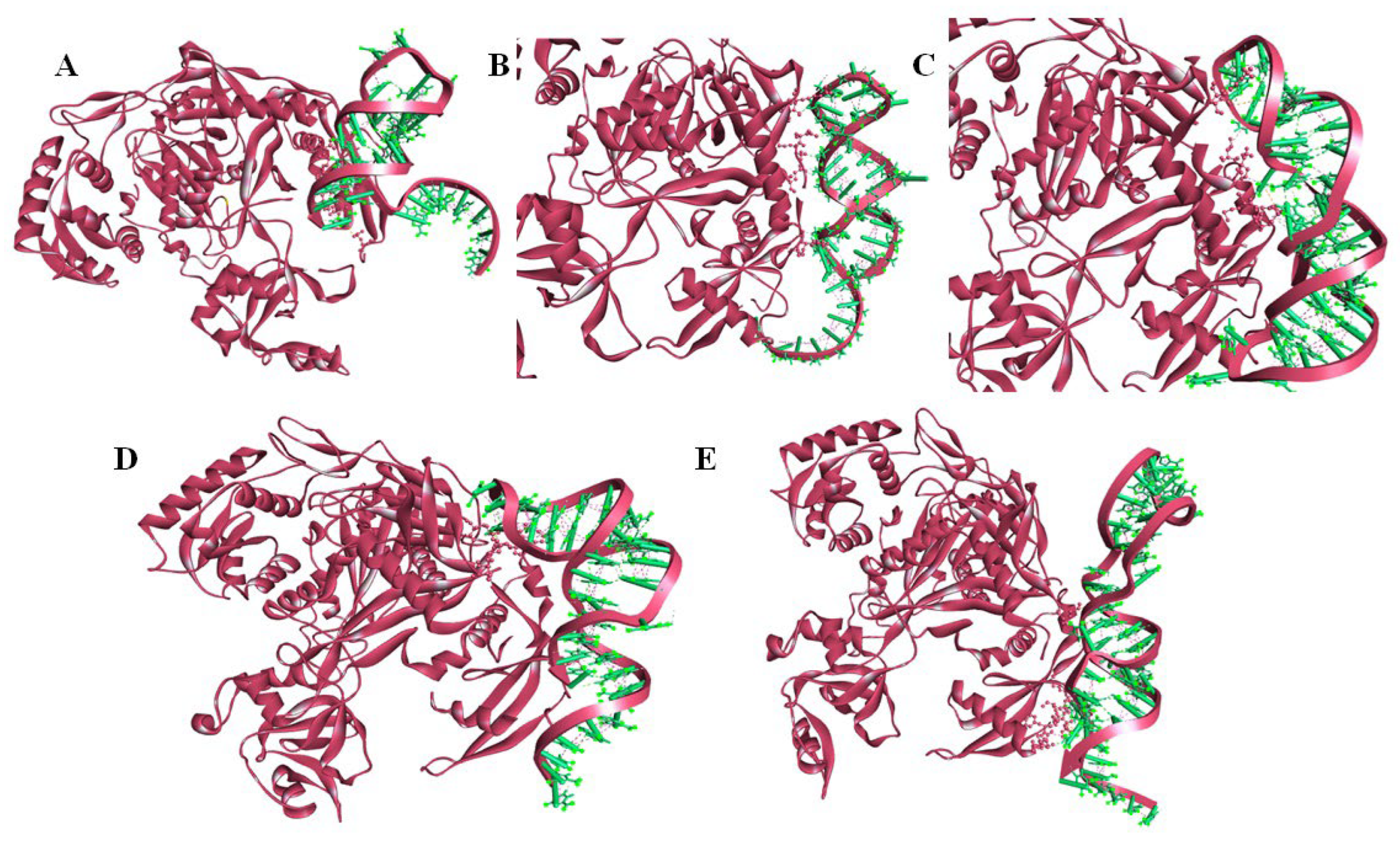 Ijms 23 15257 g009 Ijms 23 15257 g009