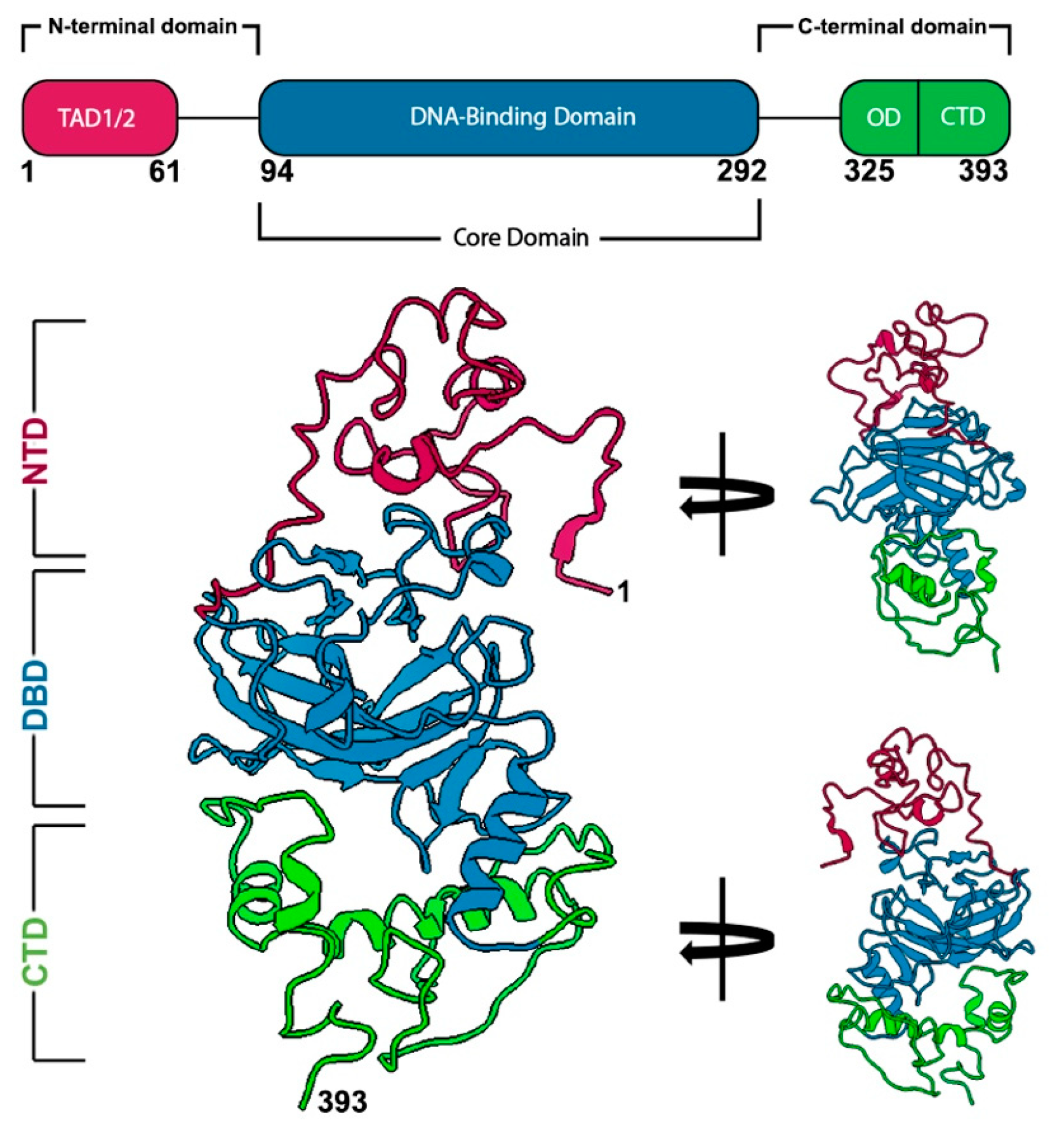Ijms 23 15267 g001 Ijms 23 15267 g001
