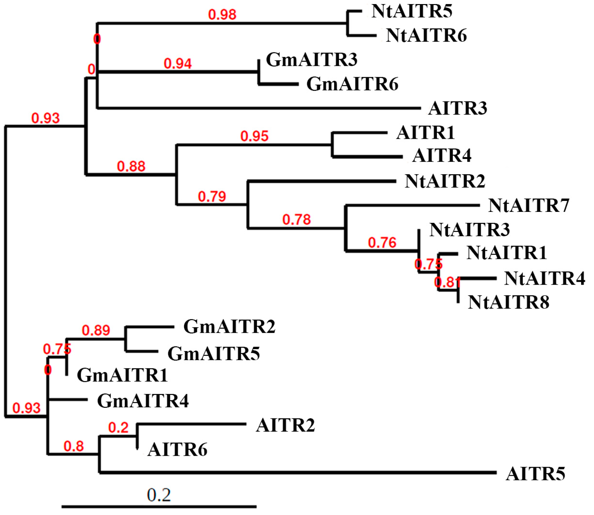Ijms 23 15268 g002 Ijms 23 15268 g002