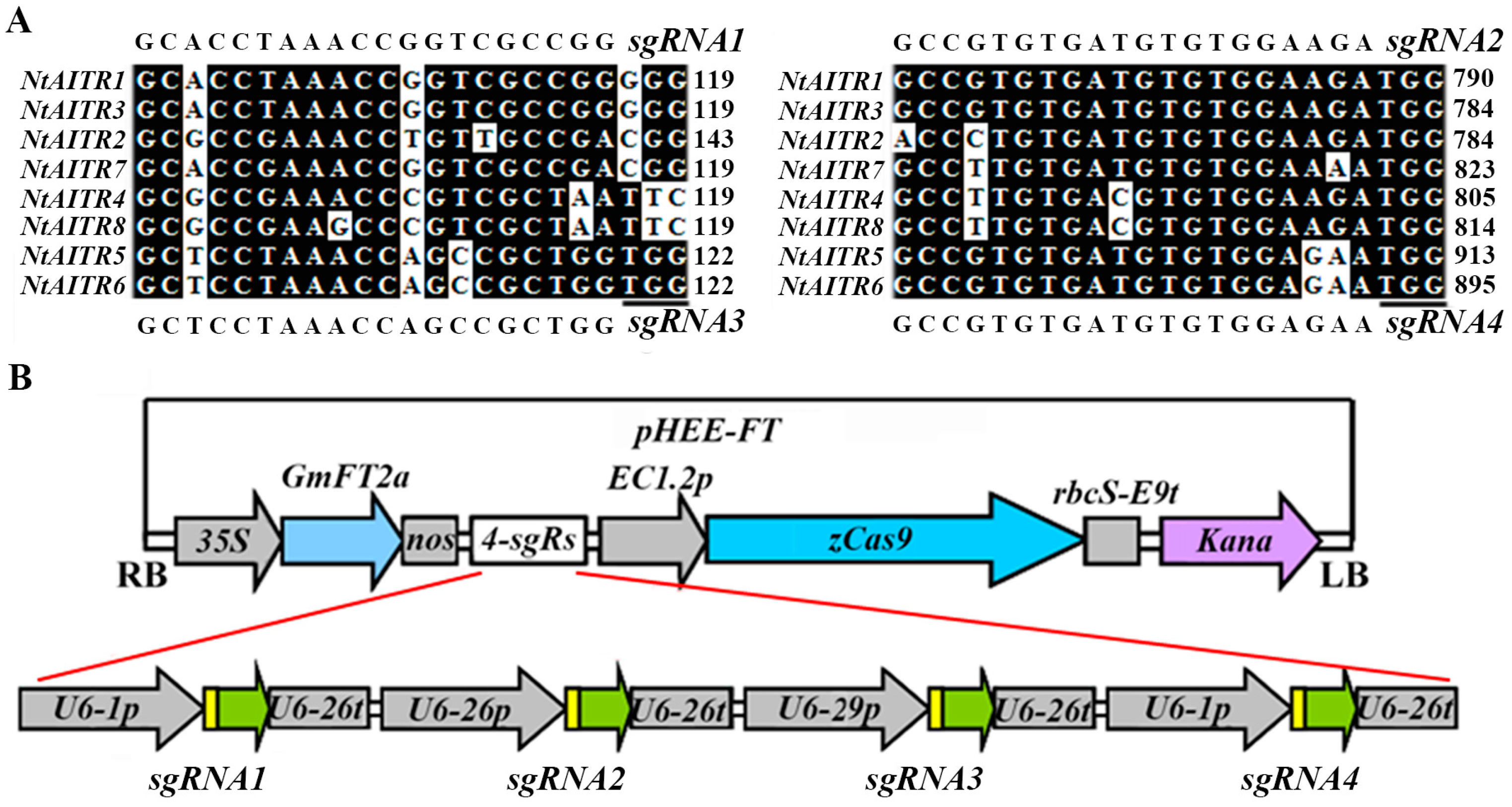 Ijms 23 15268 g005 Ijms 23 15268 g005