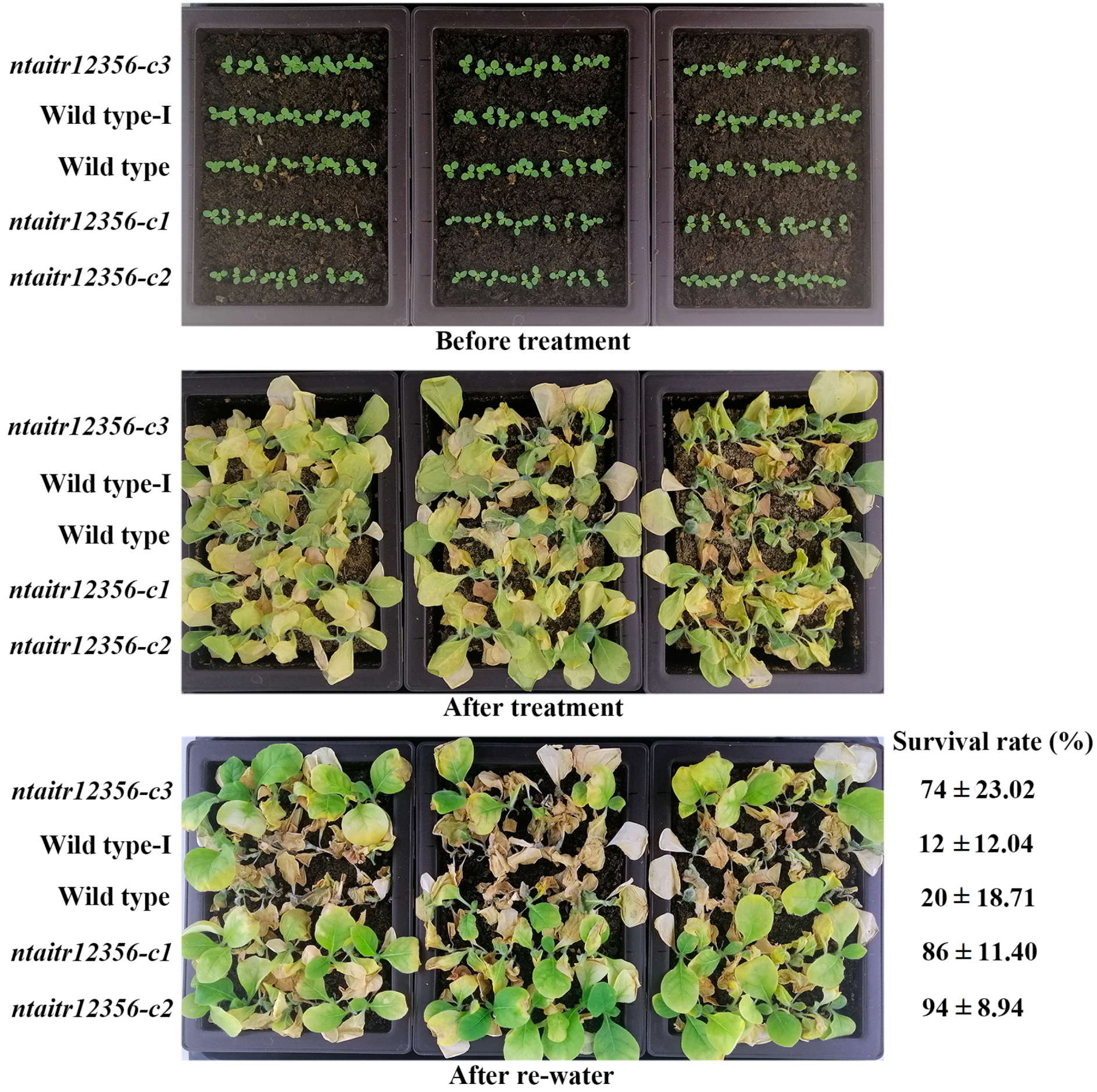 Ijms 23 15268 g007 Ijms 23 15268 g007