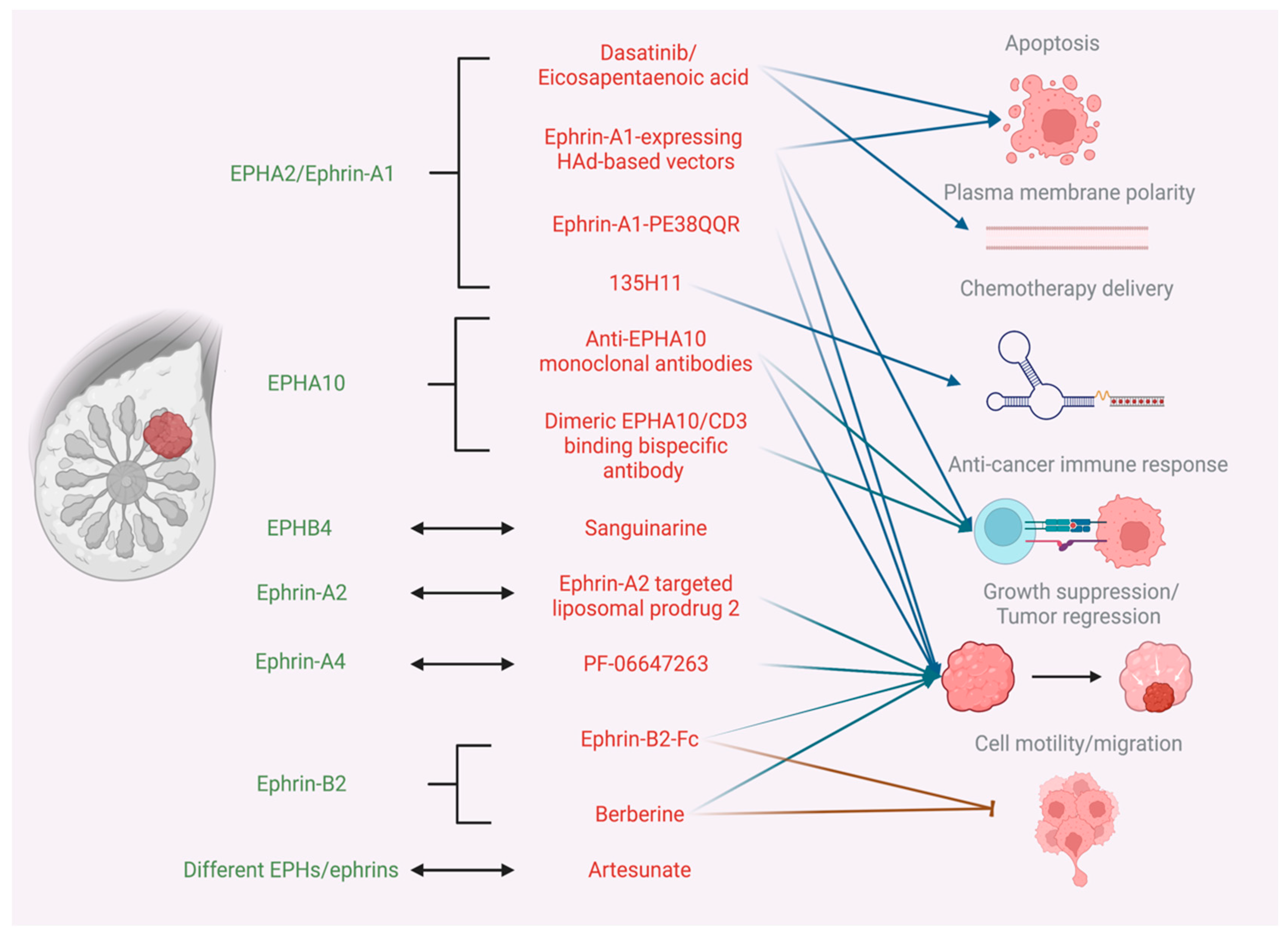 Ijms 23 15275 g001 Ijms 23 15275 g001
