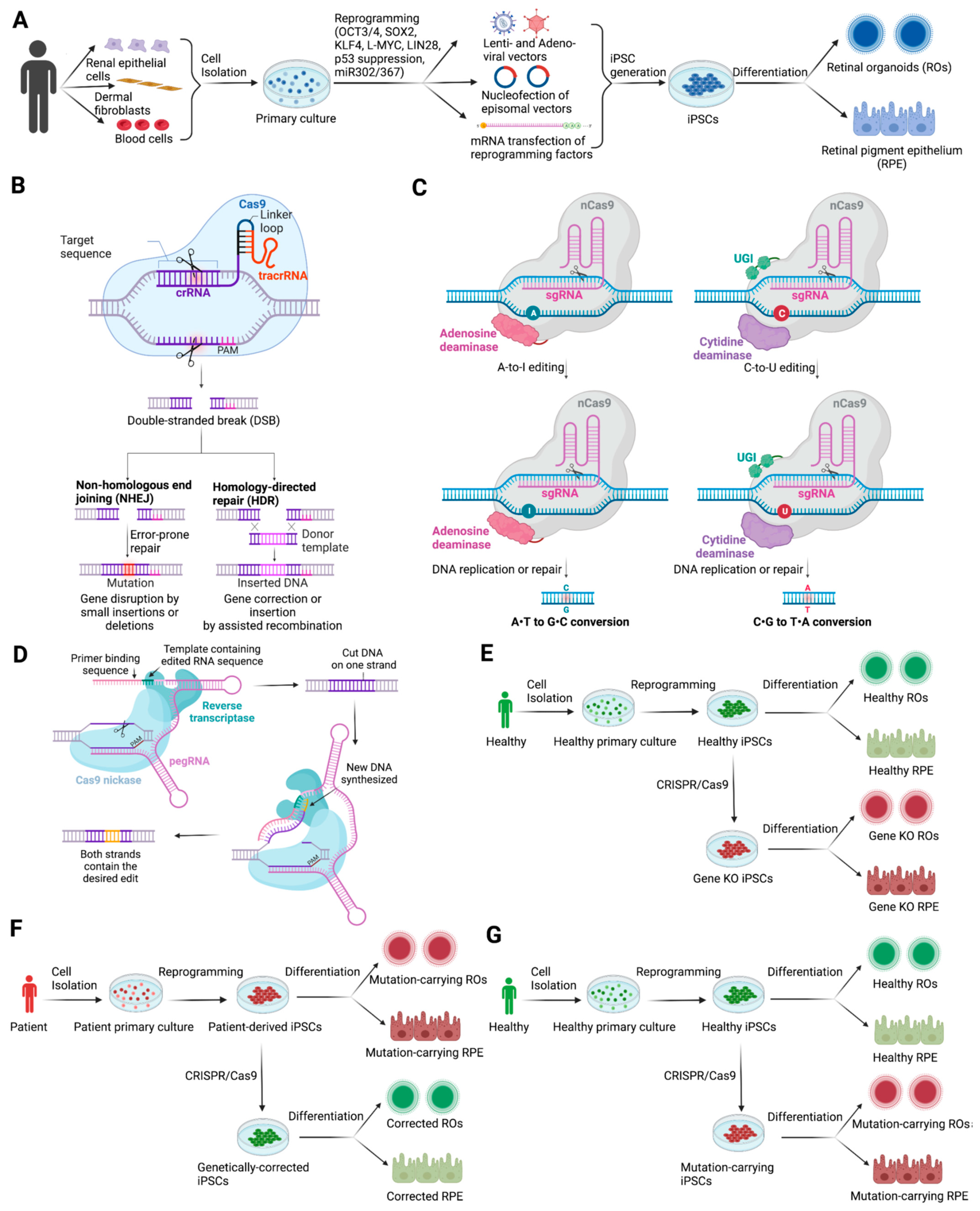 Ijms 23 15276 g001 Ijms 23 15276 g001