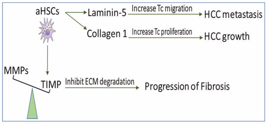 Ijms 23 15292 g002 550