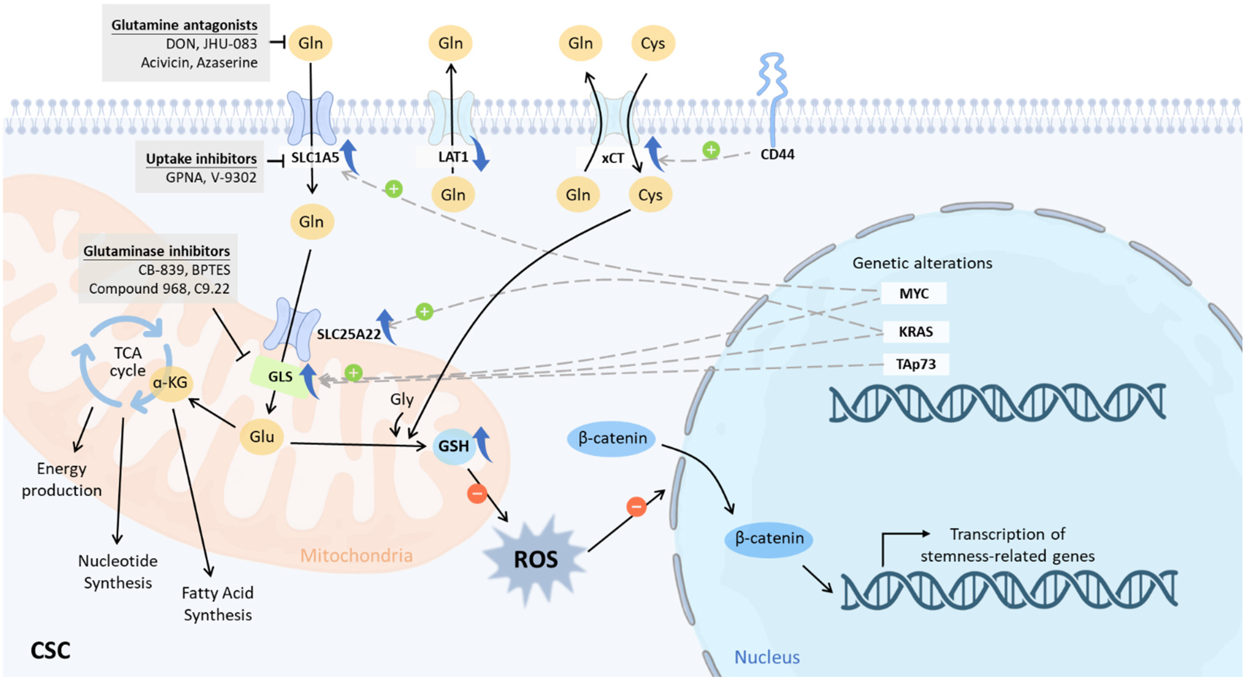 Ijms 23 15296 g002 Ijms 23 15296 g002