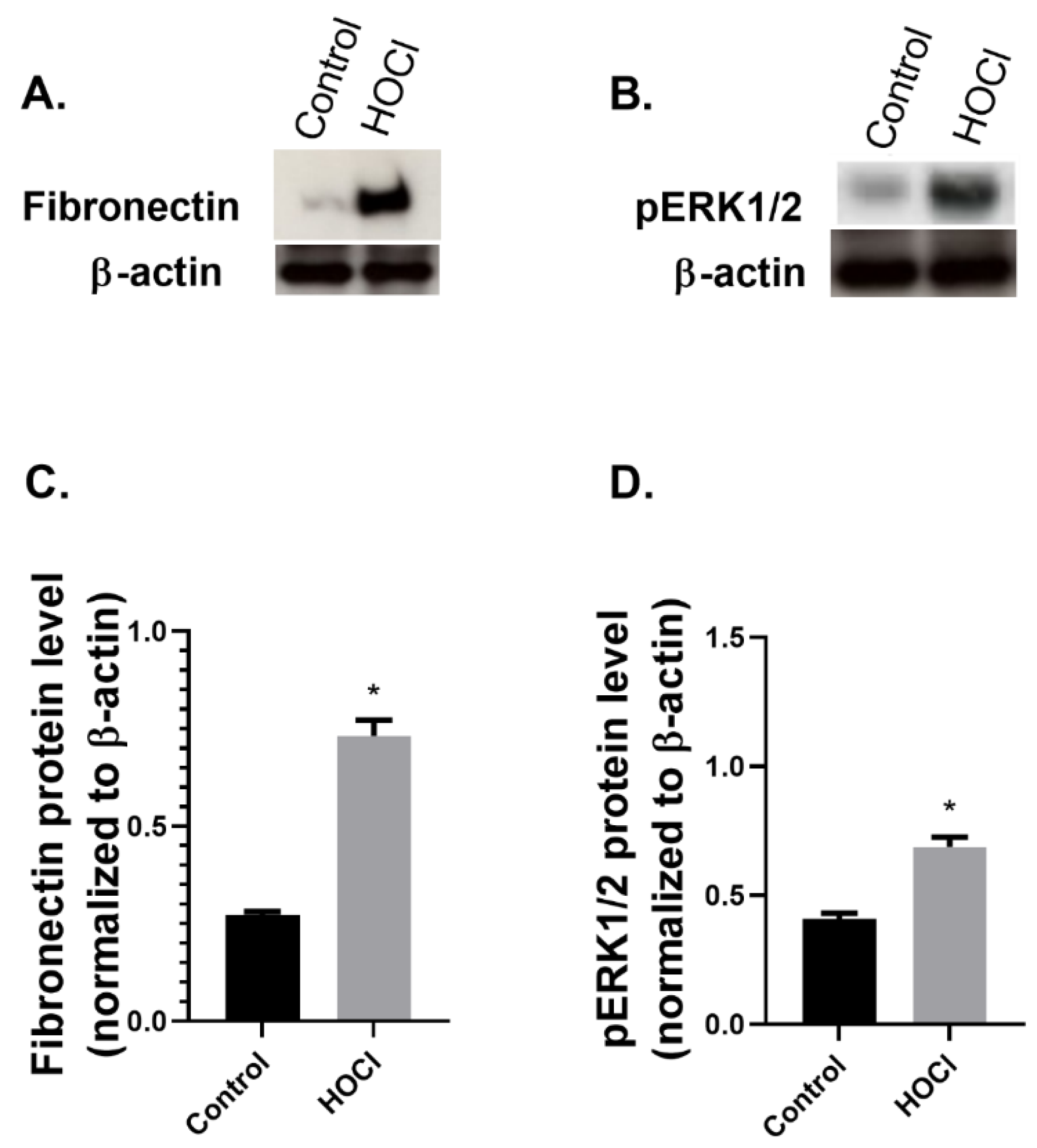 Ijms 23 15319 g004 Ijms 23 15319 g004