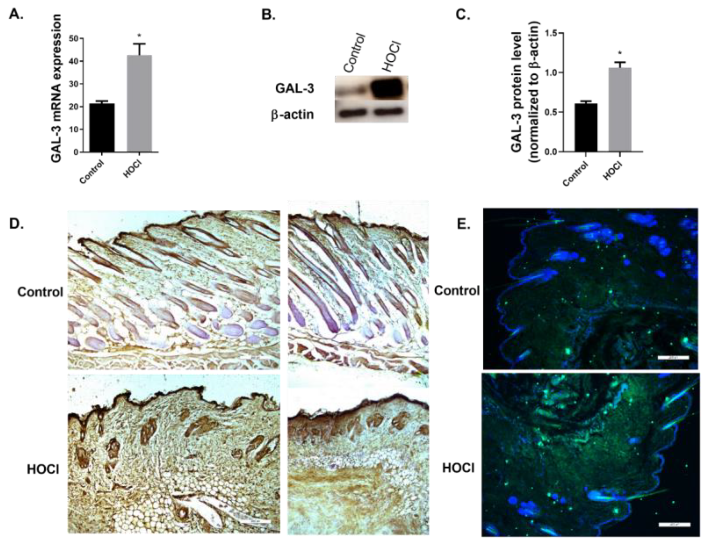Ijms 23 15319 g005 Ijms 23 15319 g005