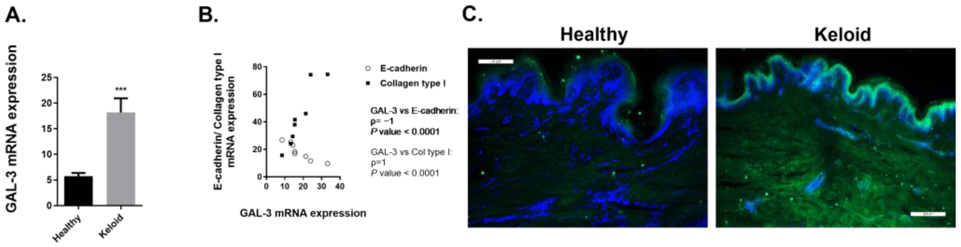 Ijms 23 15319 g007 Ijms 23 15319 g007