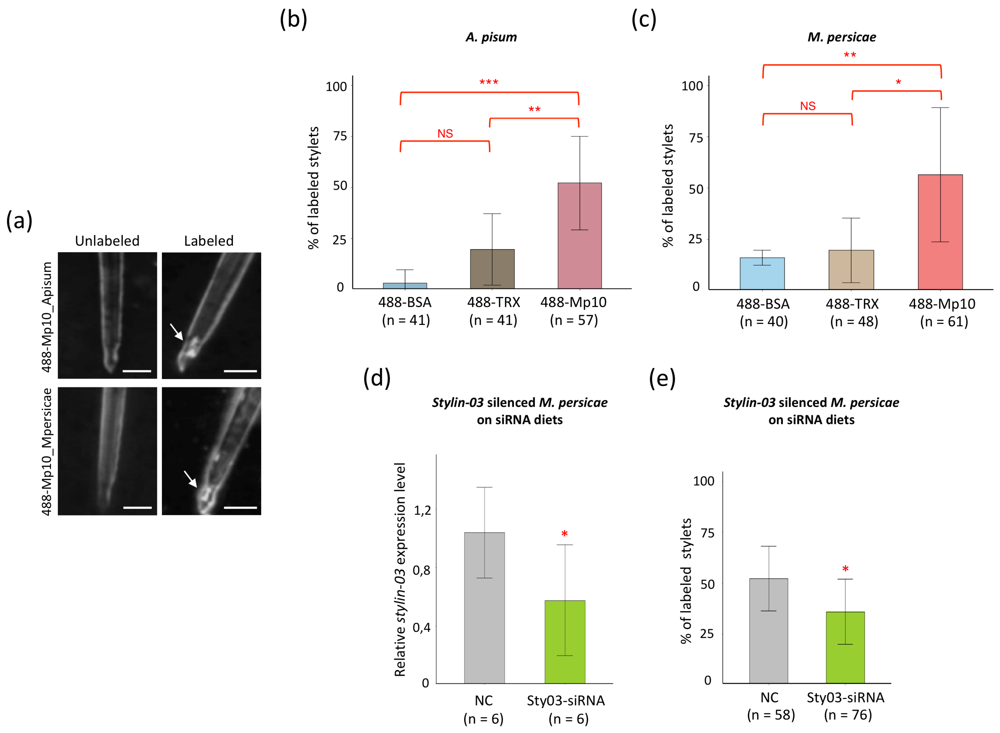 Ijms 23 15337 g002 Ijms 23 15337 g002