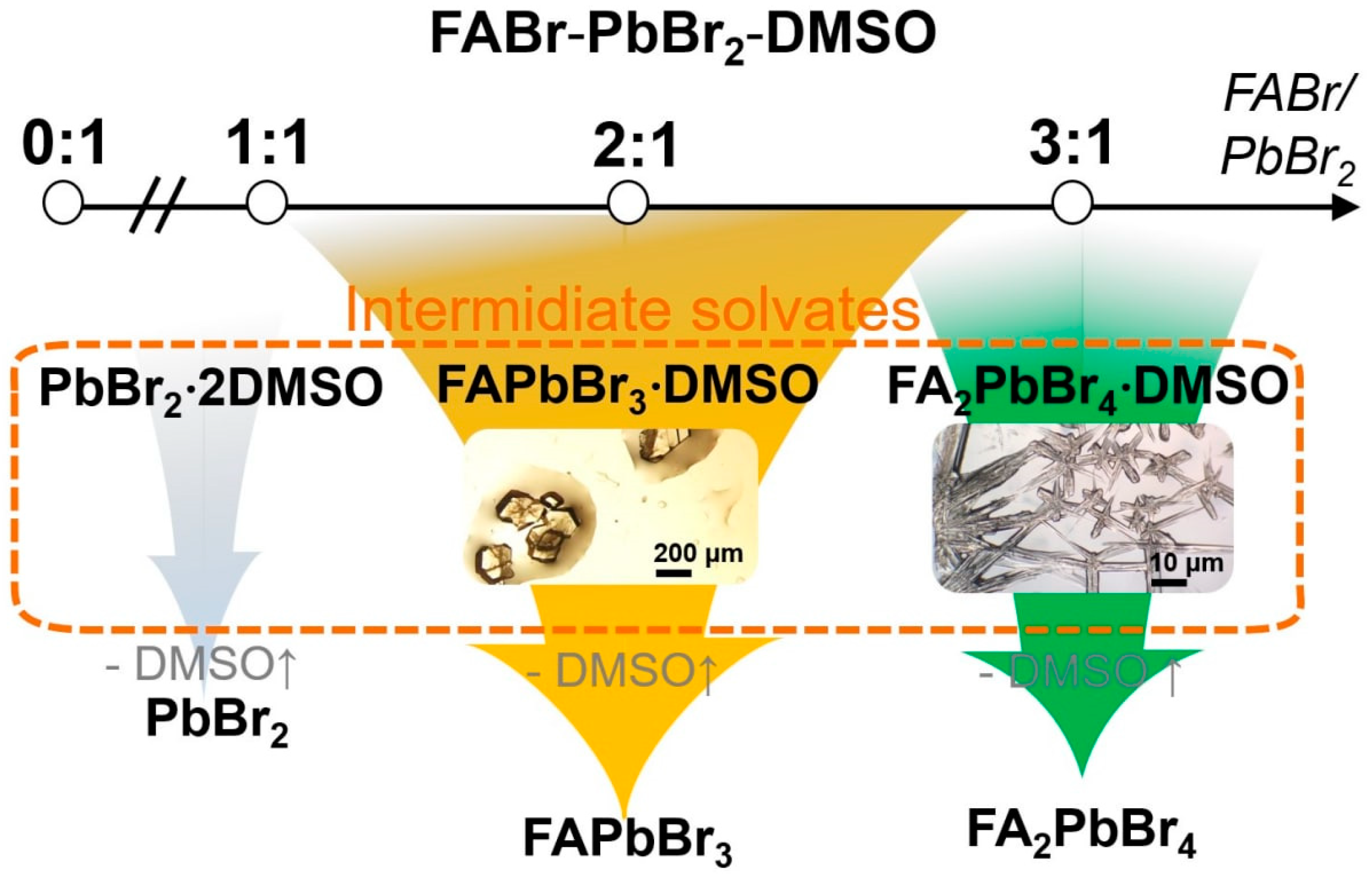 Ijms 23 15344 g002 Ijms 23 15344 g002