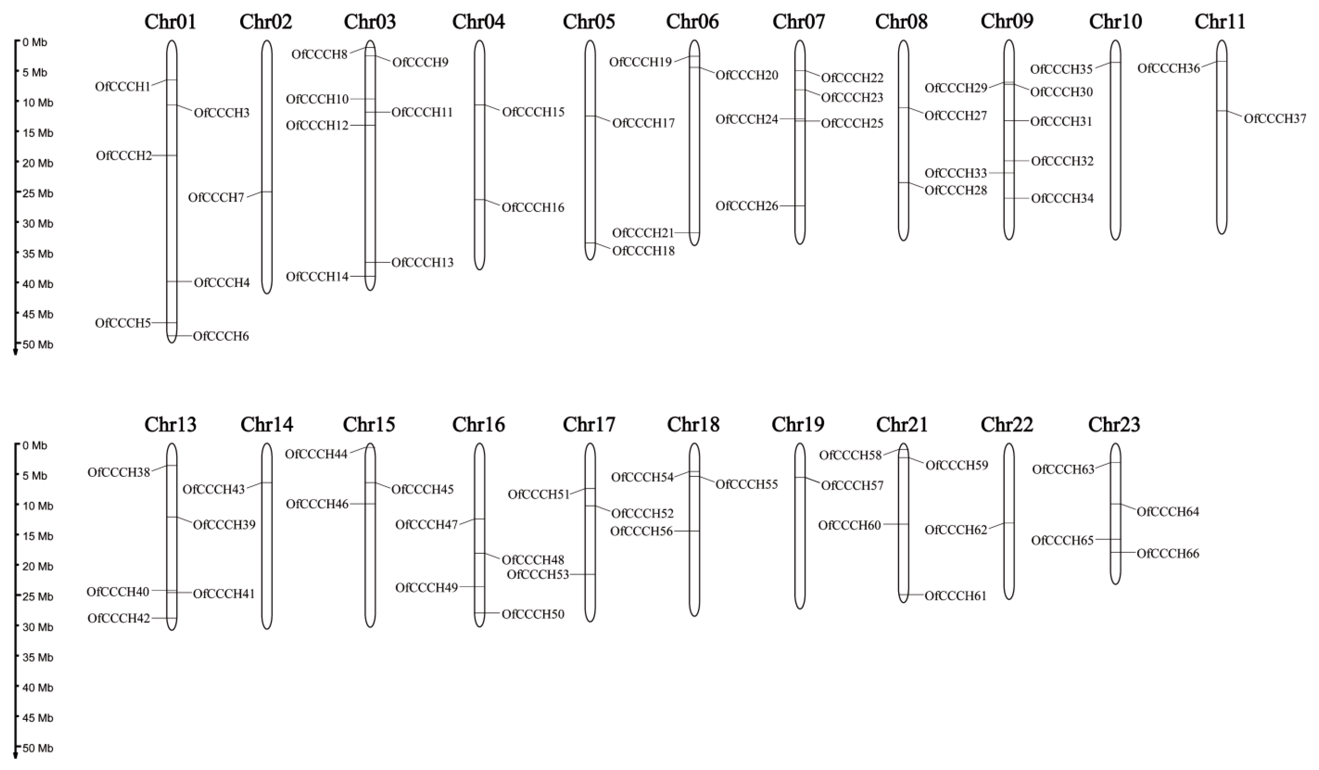 Ijms 23 15363 g001 Ijms 23 15363 g001