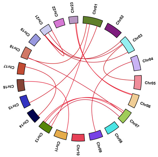 Comparative Transcriptome Analysis of CCCH Family in Roles of
