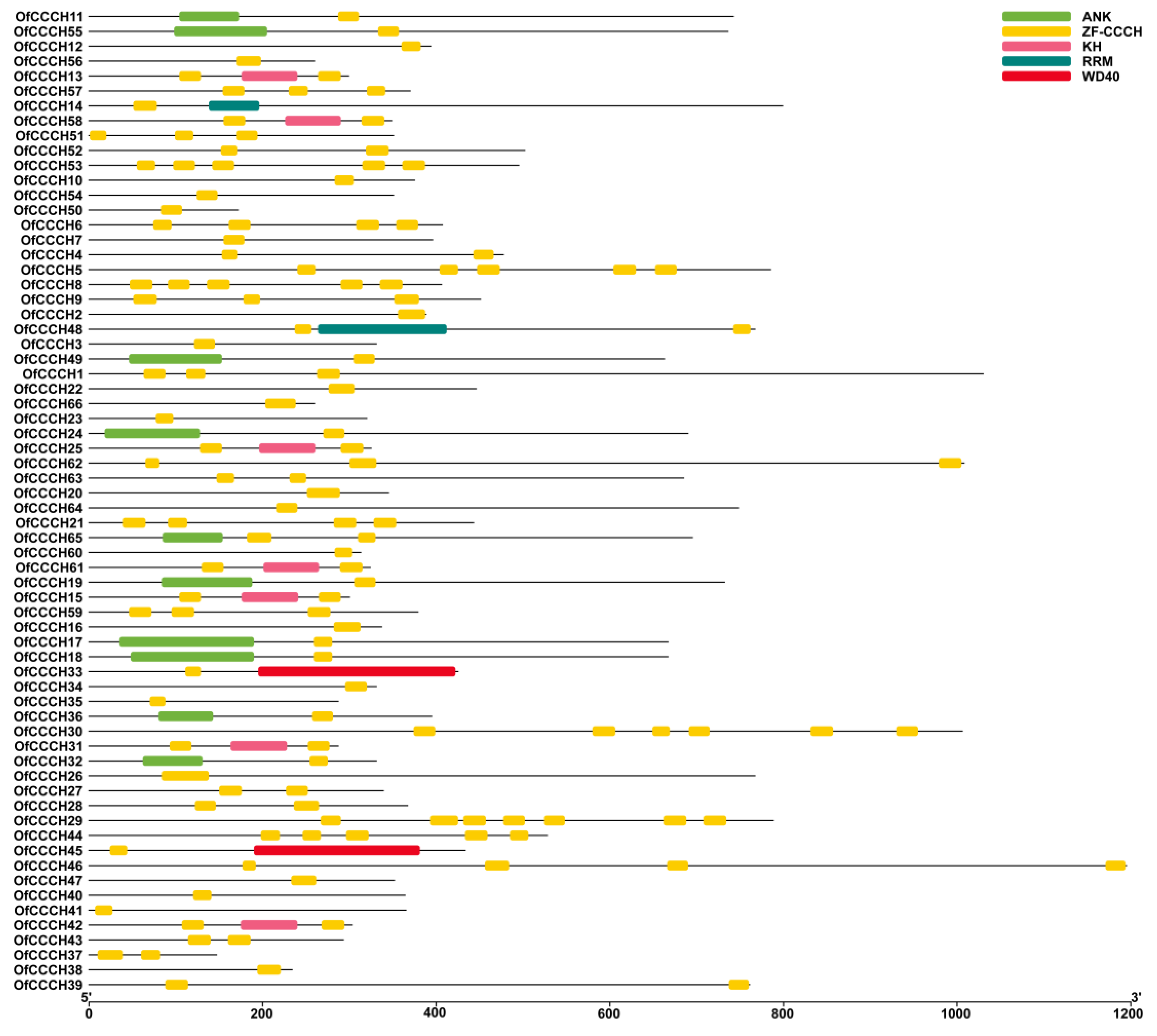 Ijms 23 15363 g005 Ijms 23 15363 g005