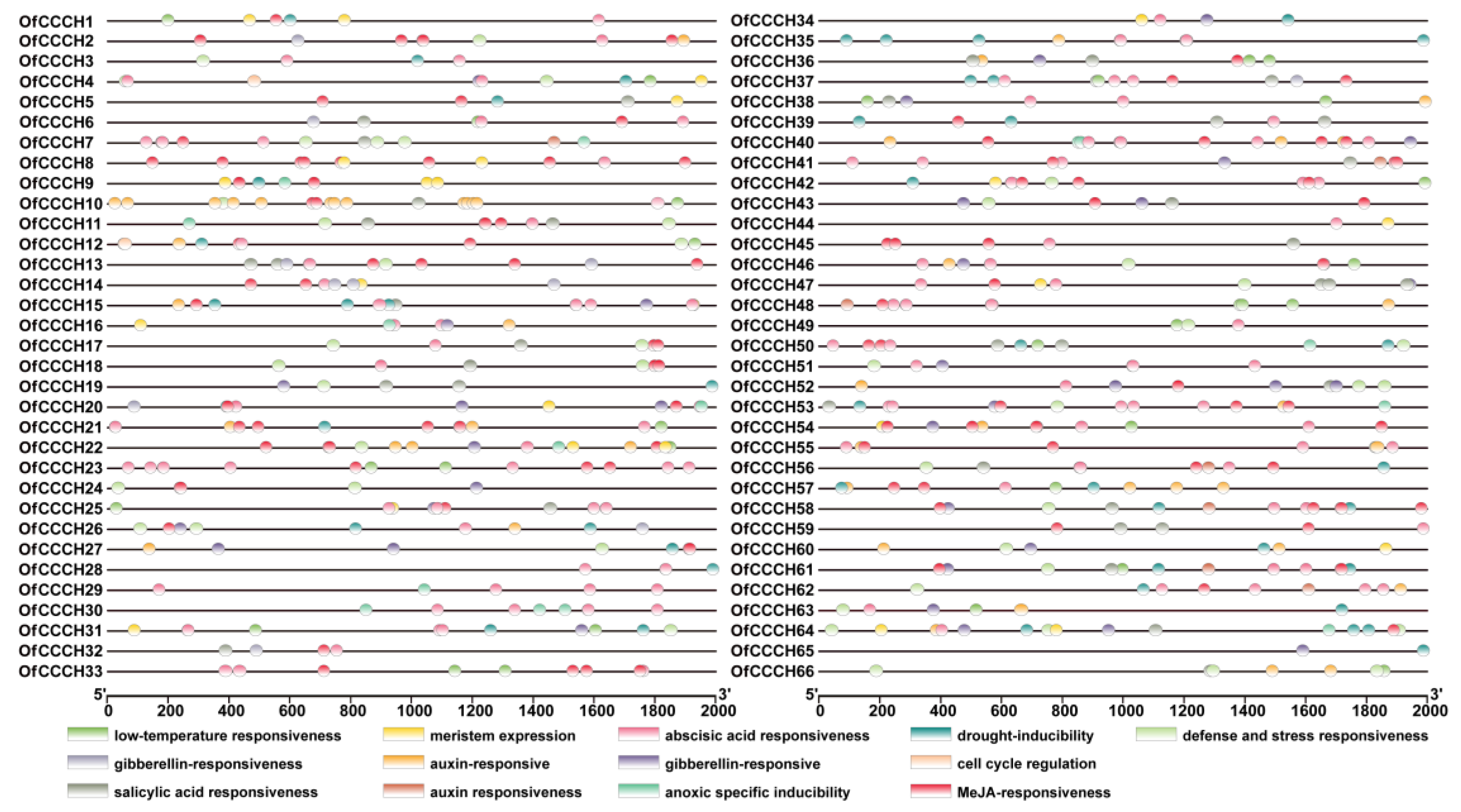 Ijms 23 15363 g006 Ijms 23 15363 g006