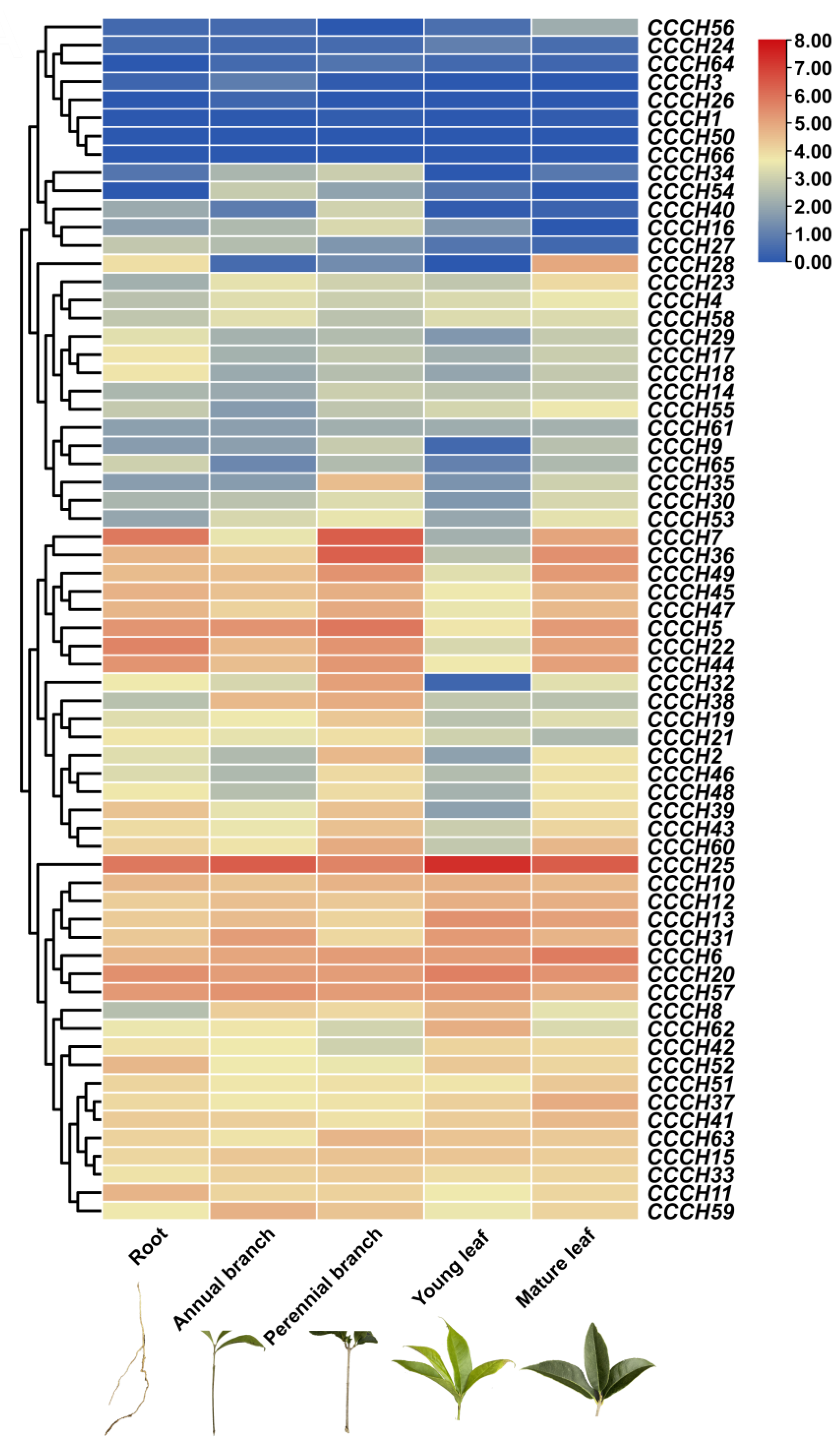 Ijms 23 15363 g007 Ijms 23 15363 g007