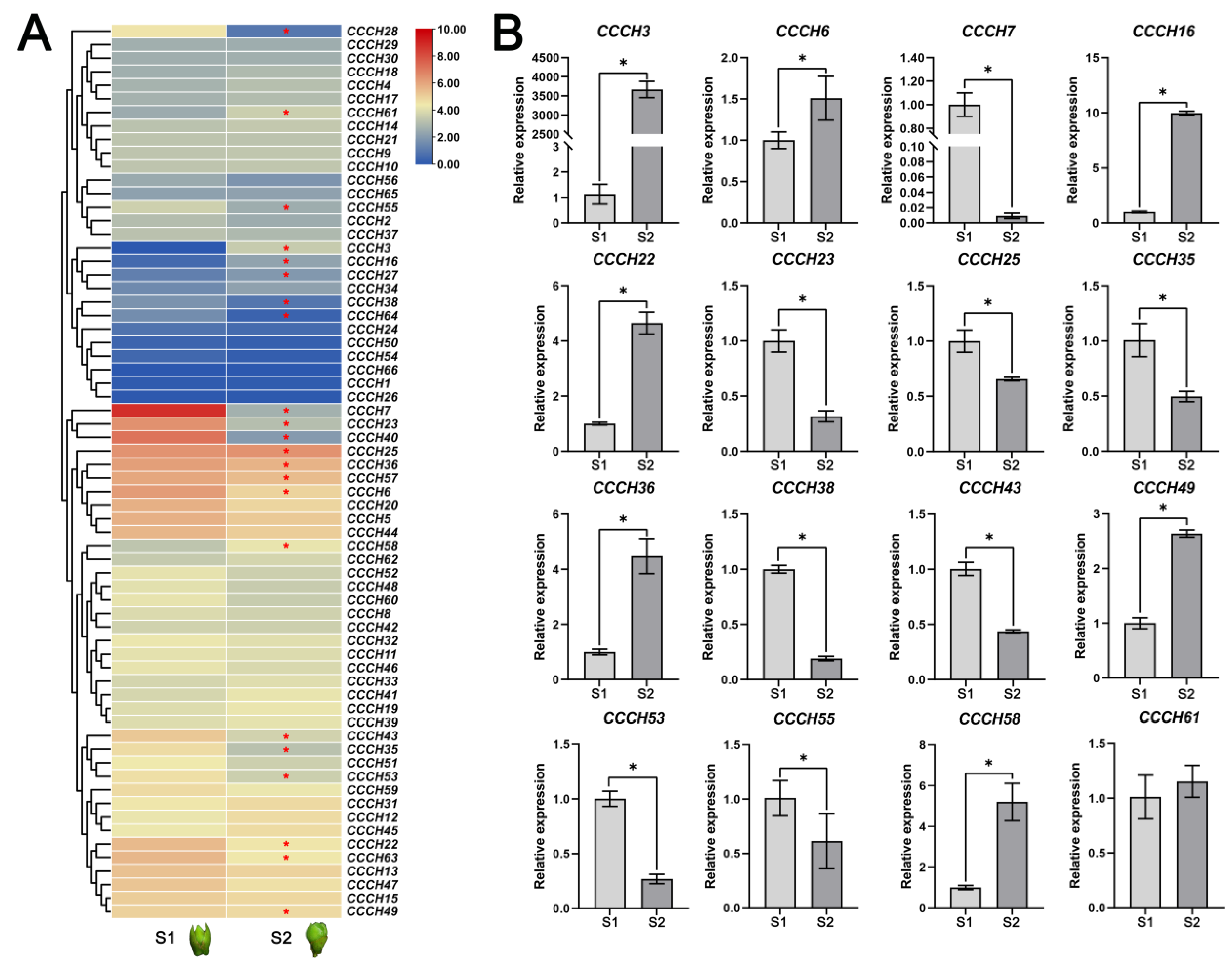 Ijms 23 15363 g008 Ijms 23 15363 g008