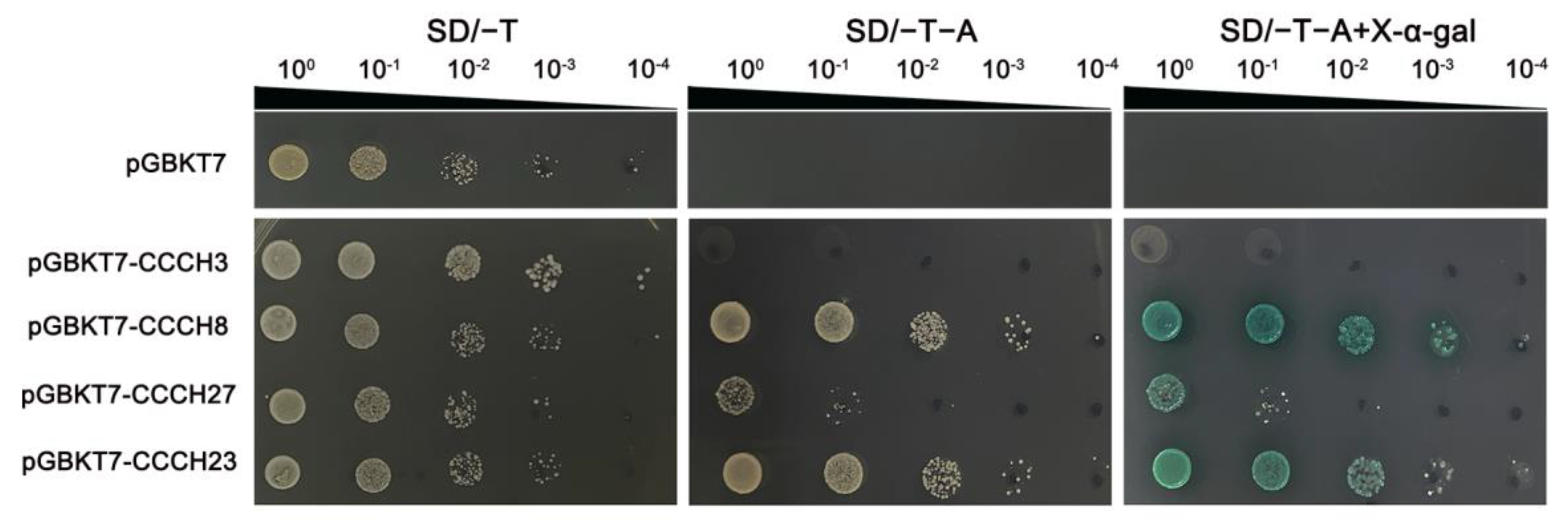 Ijms 23 15363 g011 Ijms 23 15363 g011