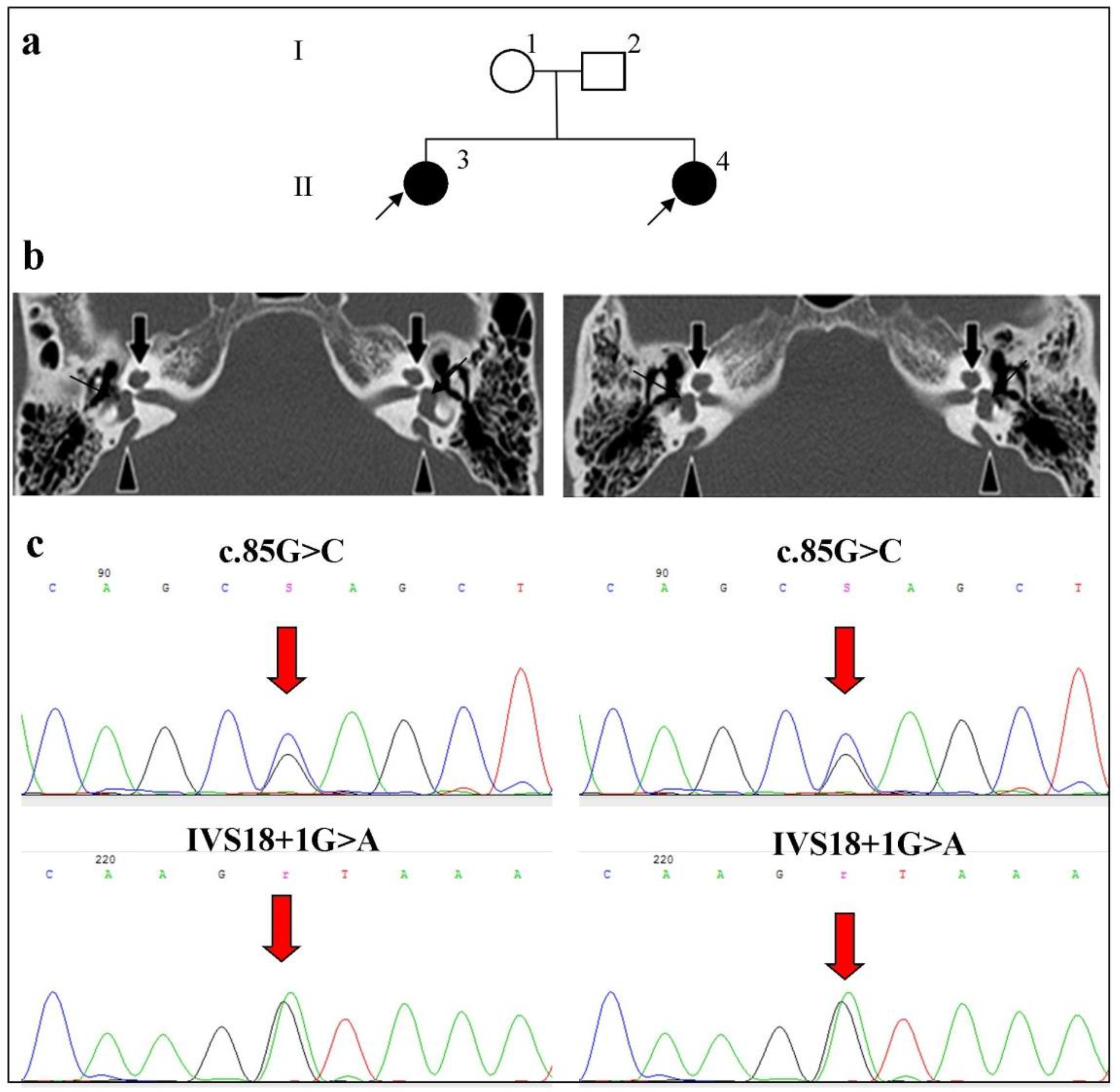 Ijms 23 15372 g002 Ijms 23 15372 g002