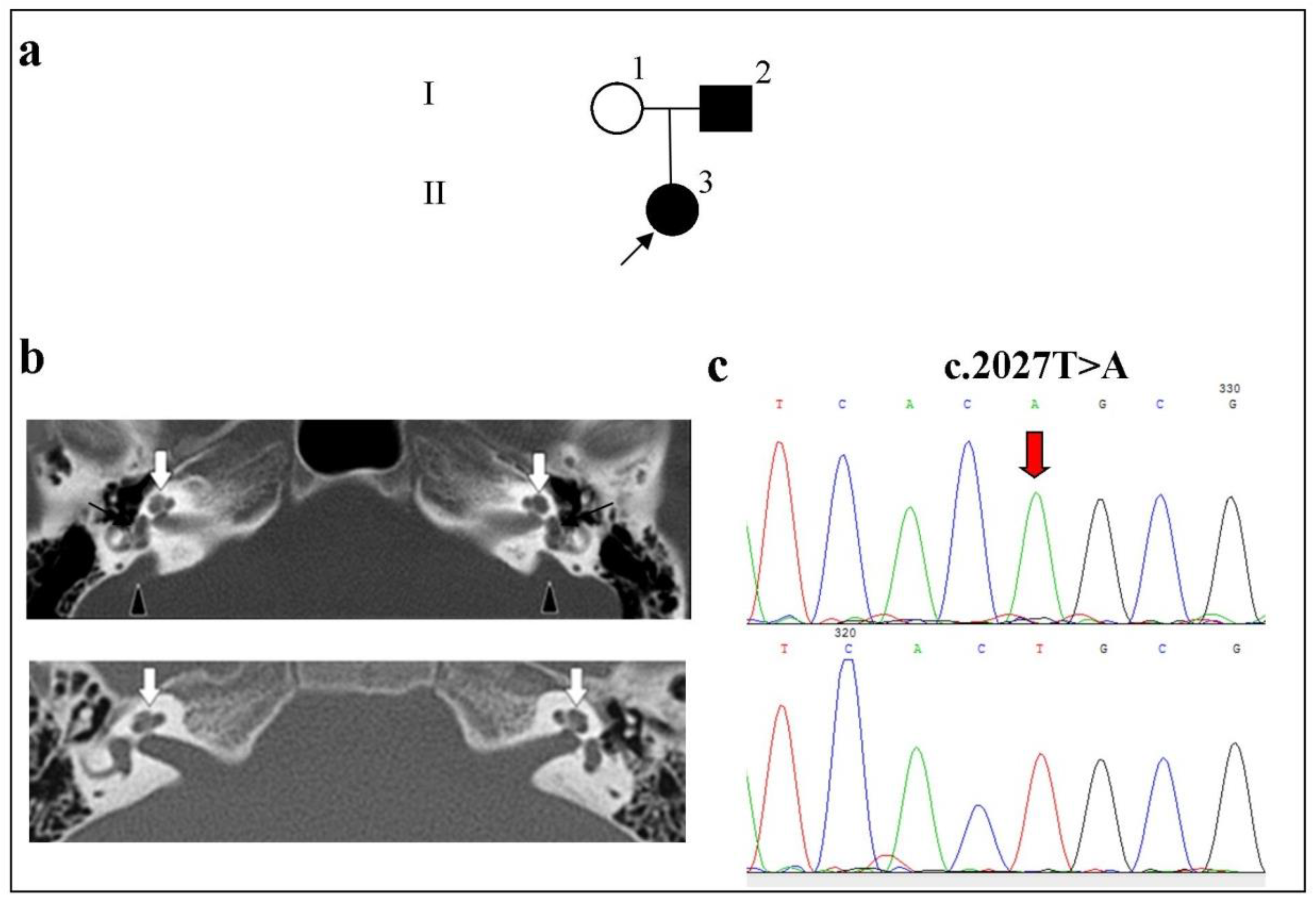 Ijms 23 15372 g003 Ijms 23 15372 g003