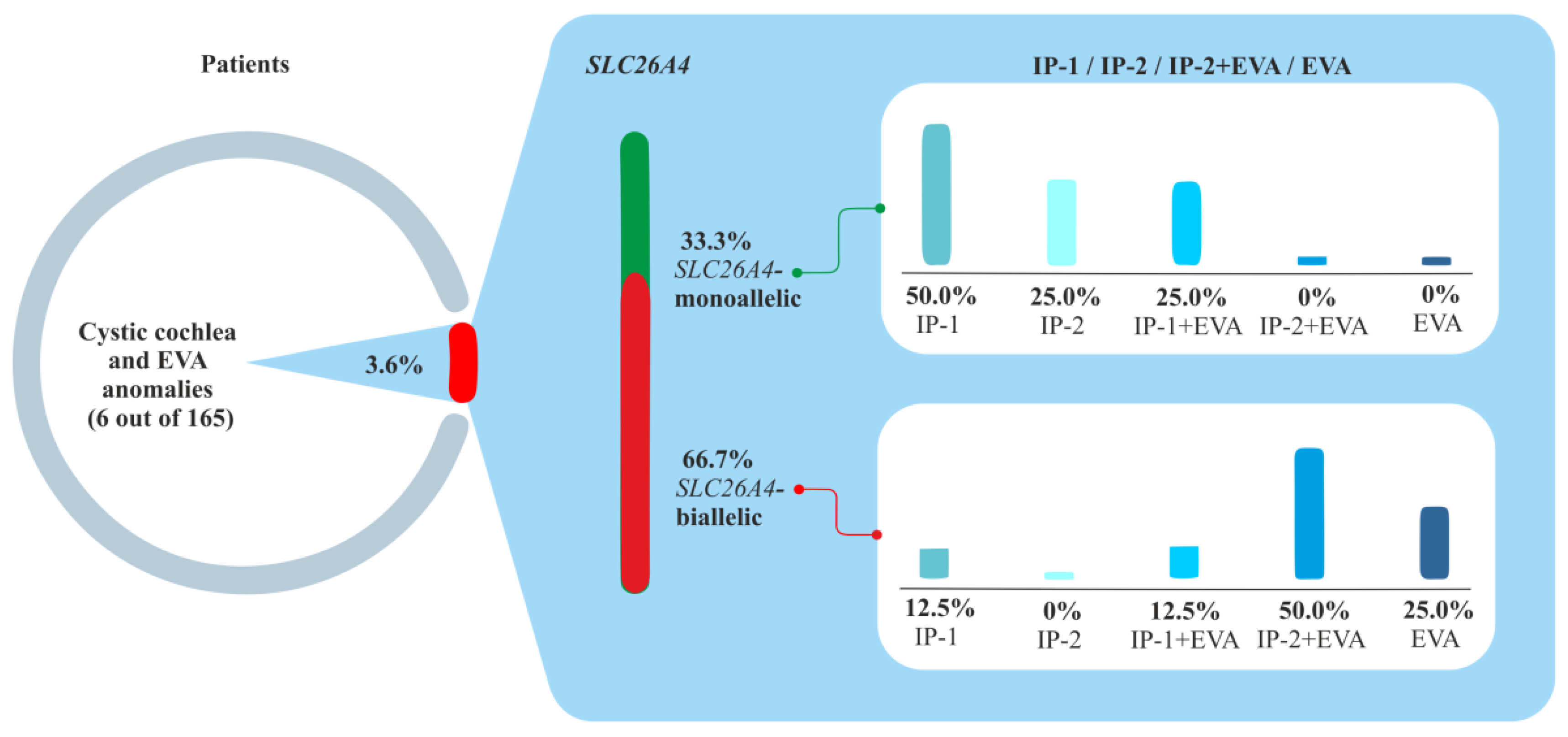 Ijms 23 15372 g004 Ijms 23 15372 g004