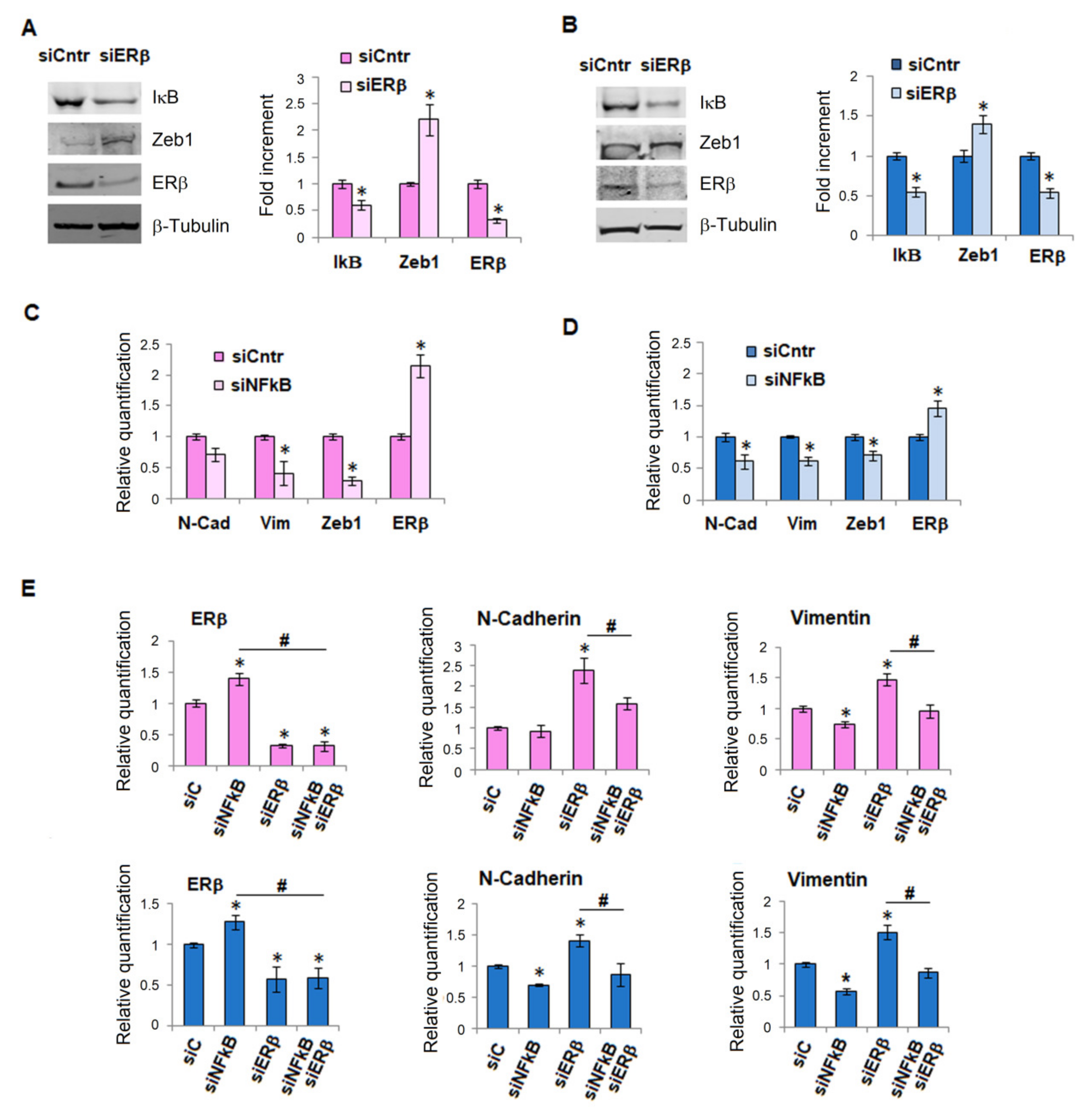 Ijms 23 15374 g005 Ijms 23 15374 g005