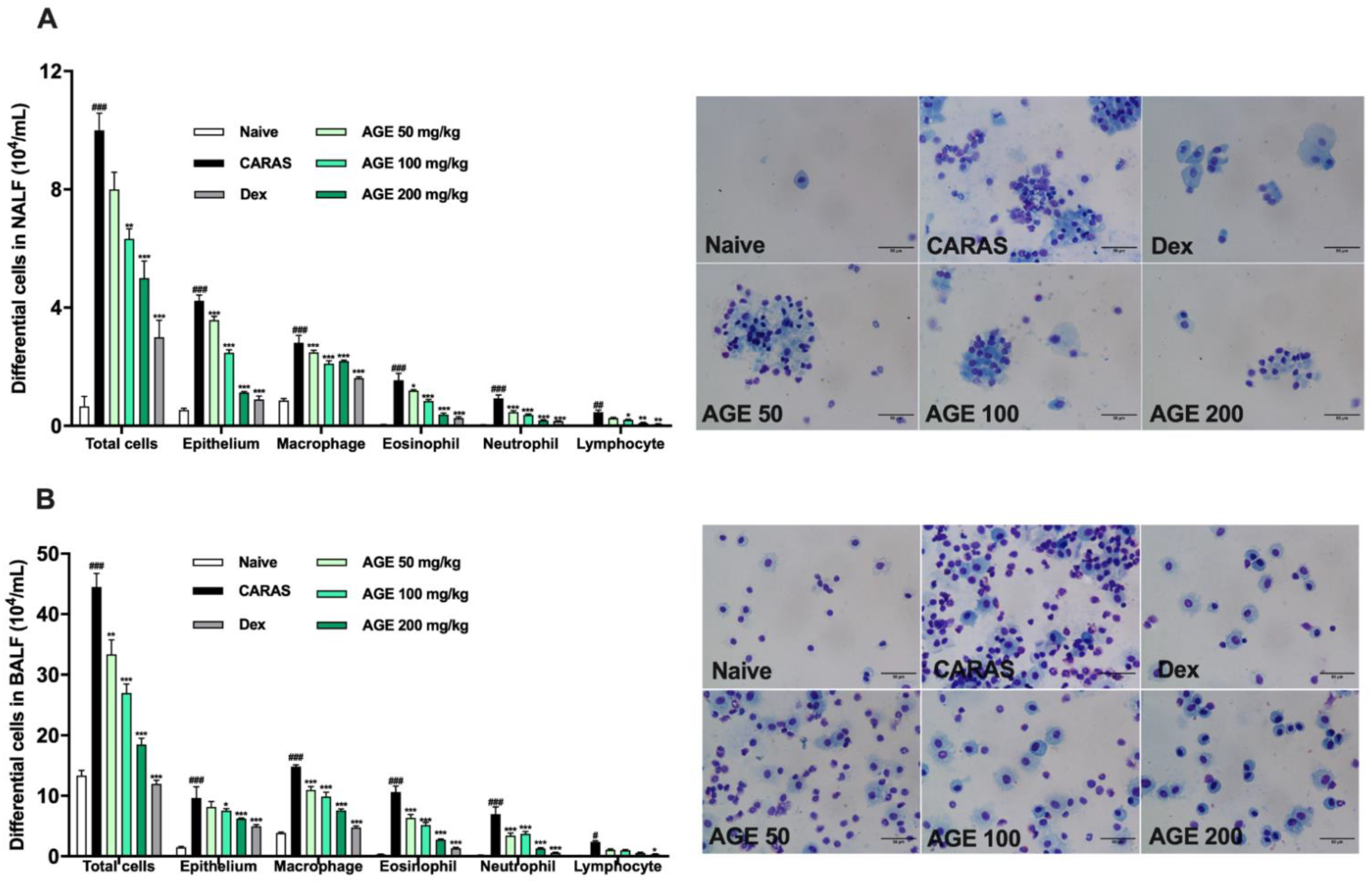 Ijms 23 15377 g002 Ijms 23 15377 g002