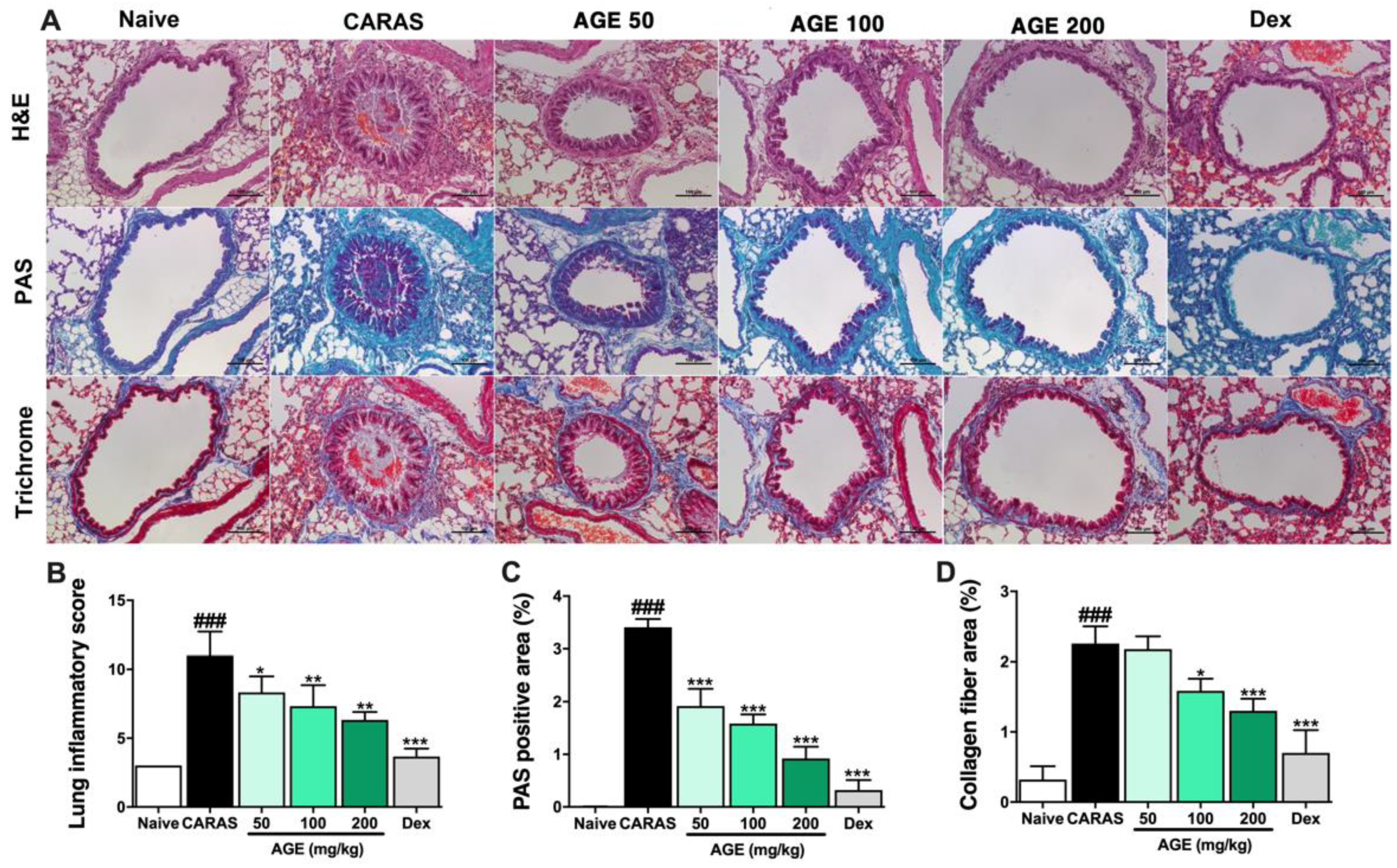 Ijms 23 15377 g004 Ijms 23 15377 g004