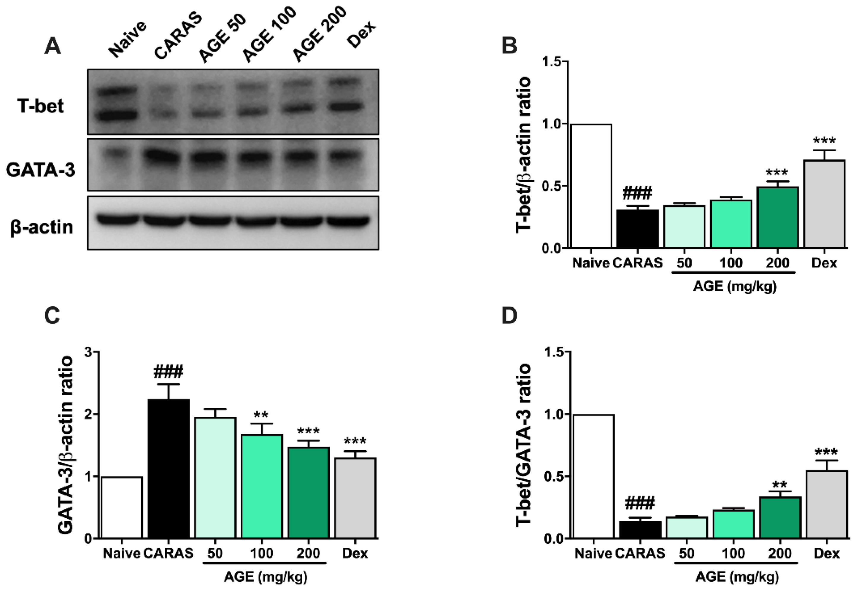 Ijms 23 15377 g008 Ijms 23 15377 g008