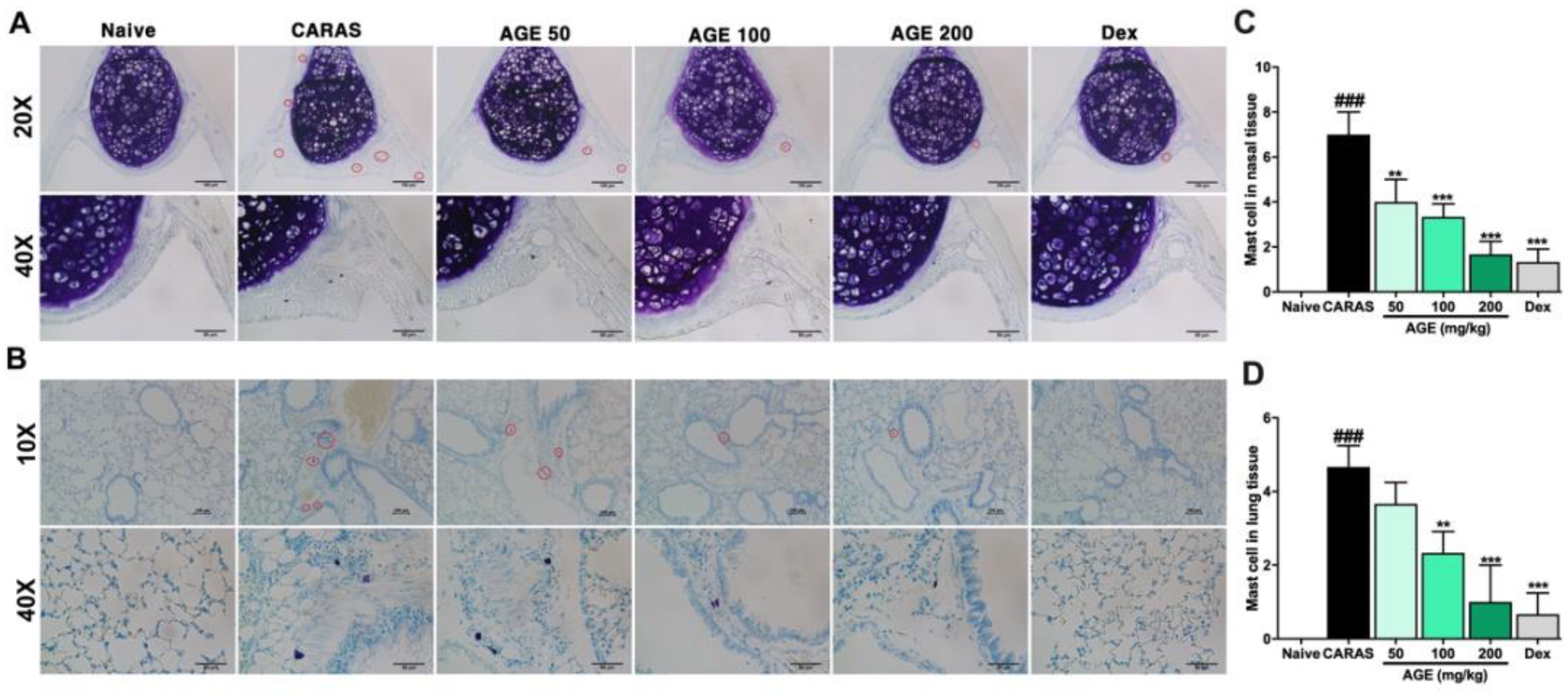 Ijms 23 15377 g010 Ijms 23 15377 g010