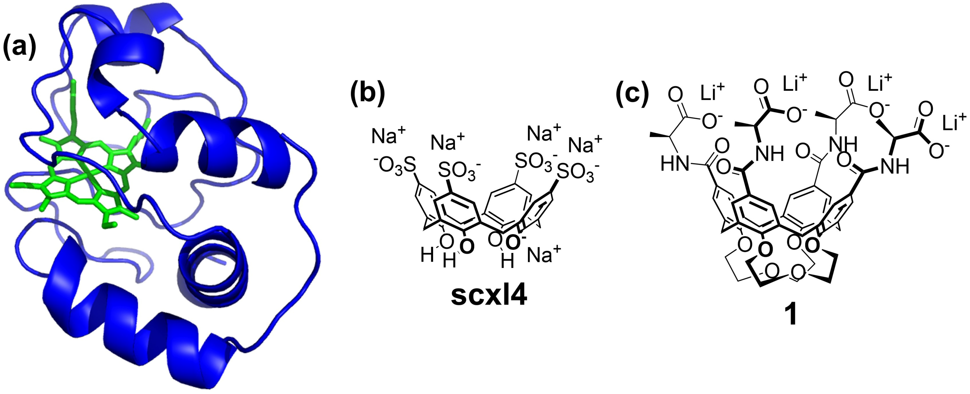 Ijms 23 15391 g001 Ijms 23 15391 g001